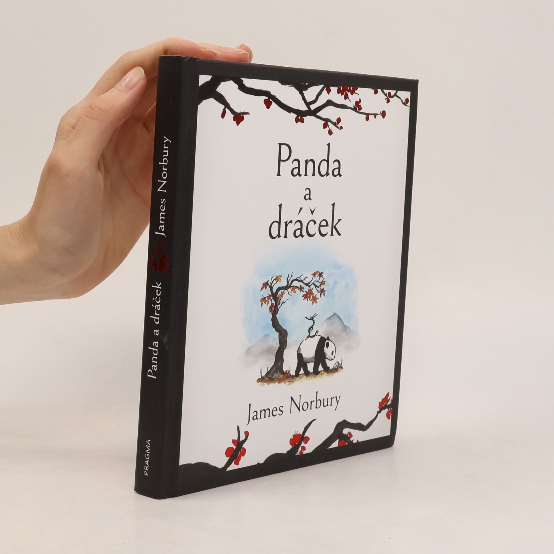 James Norbury Panda a dráček
