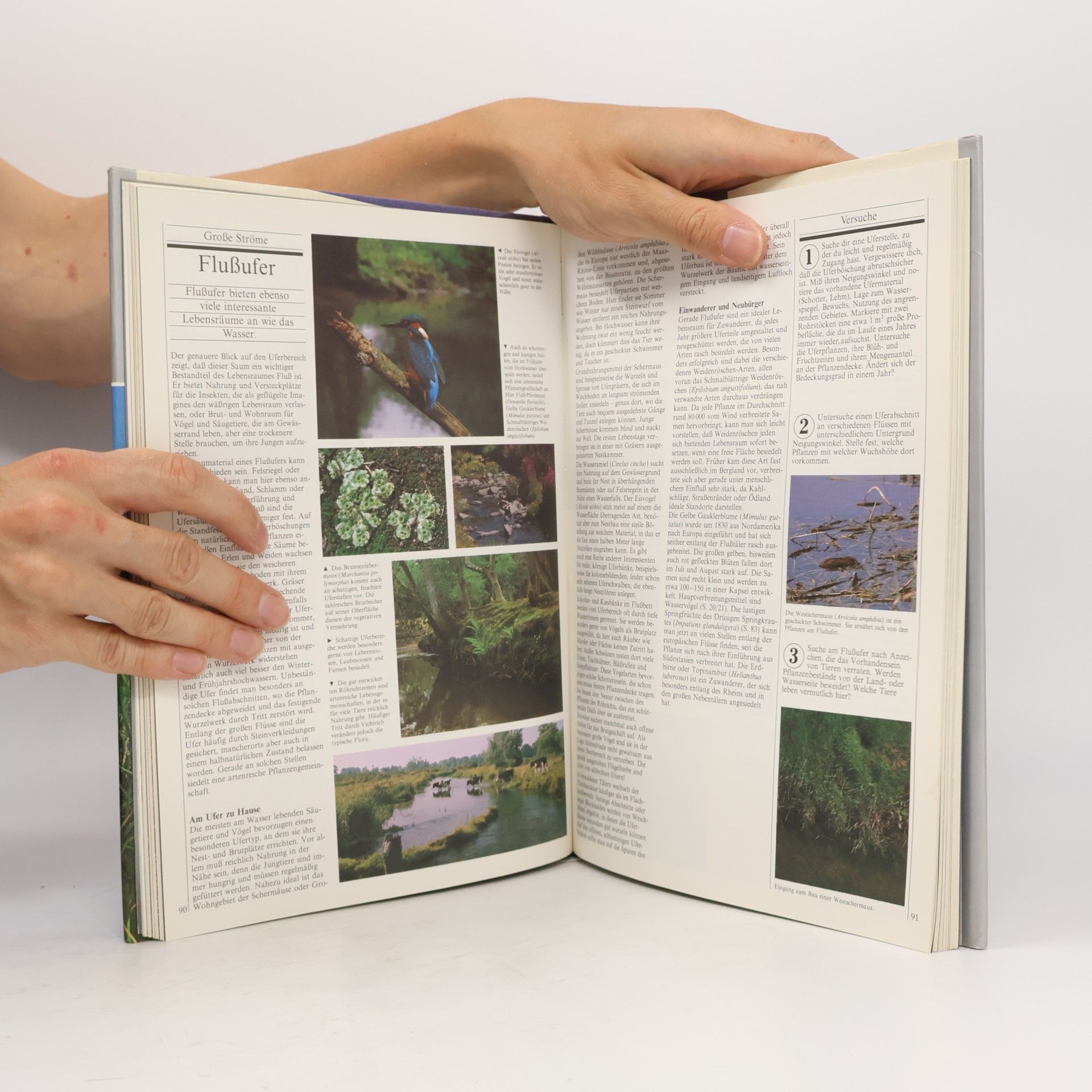 Heather Angel Kosmos-Familienbuch Lebensraum Wasser