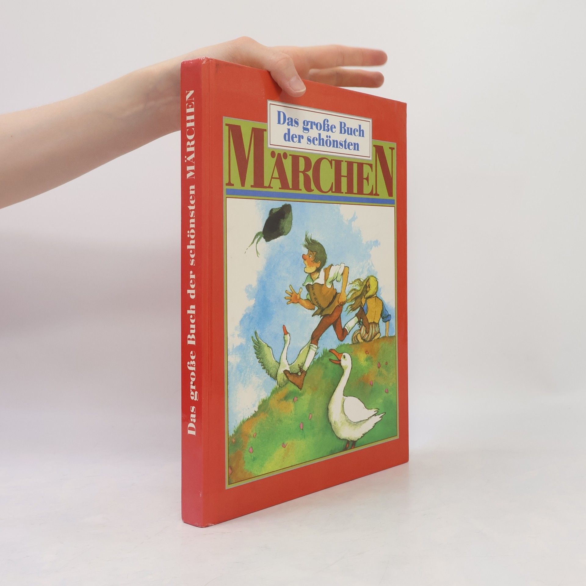Netti van Dok Das große Buch der schönsten Märchen