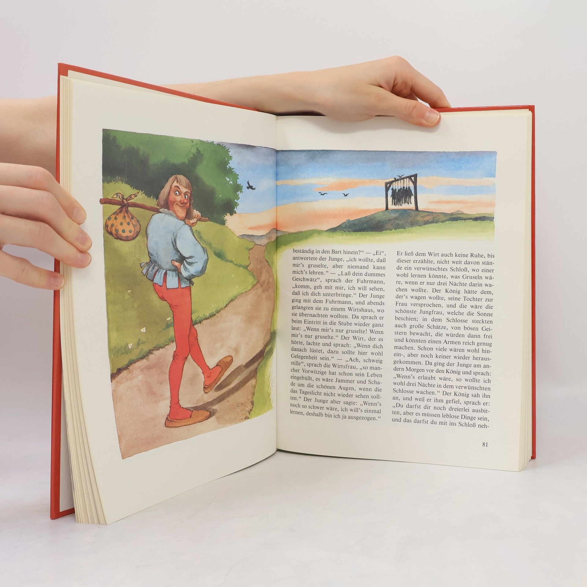 Netti van Dok Das große Buch der schönsten Märchen