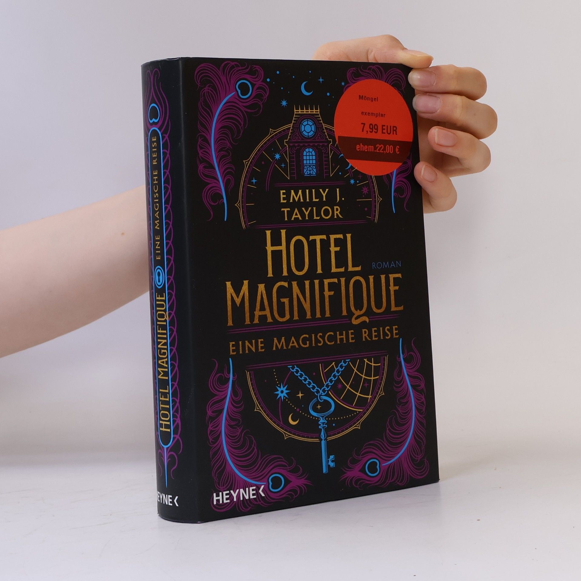 Emily J. Taylor Hotel Magnifique – Eine magische Reise