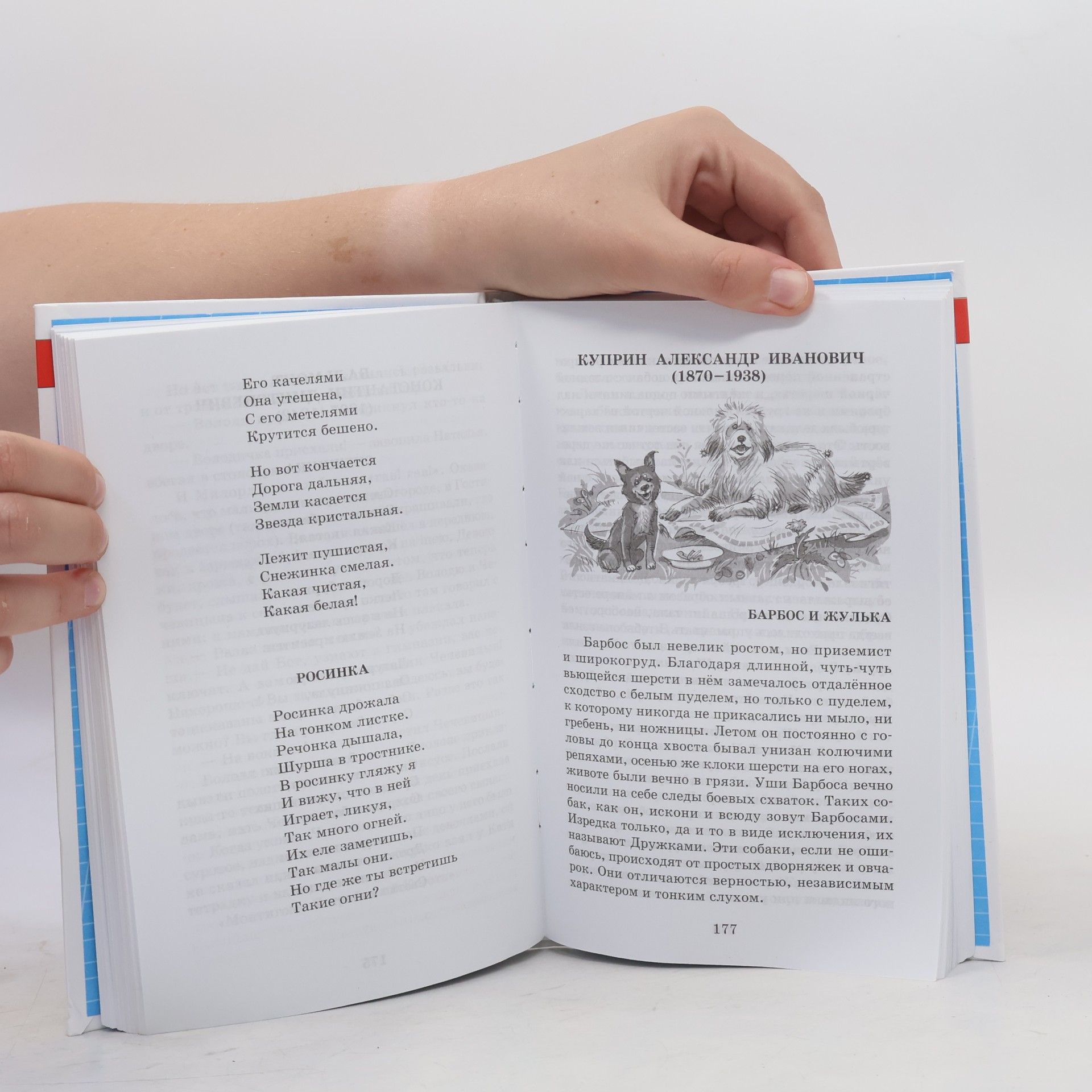 Хрестоматия. 3-4 классы
