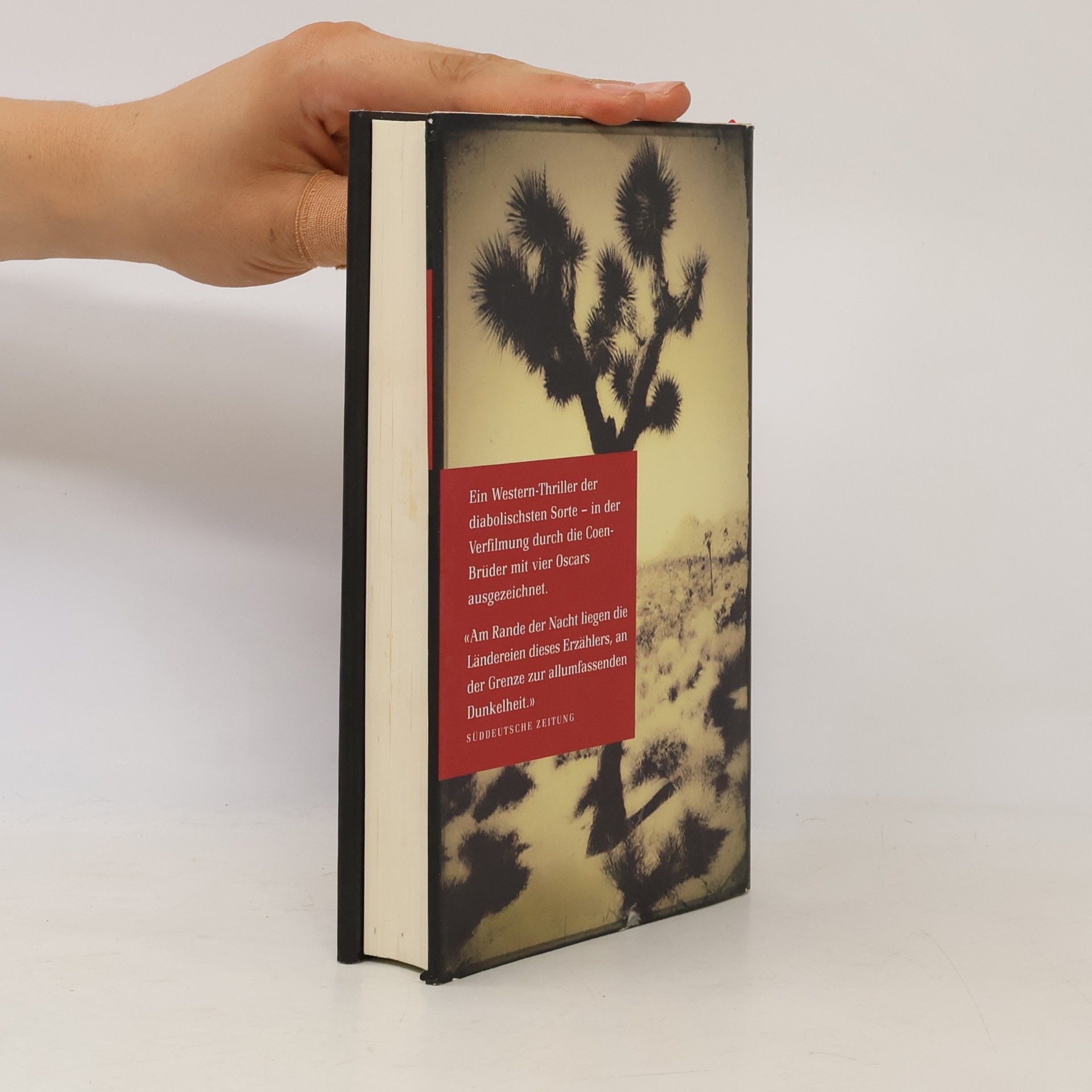 Cormac McCarthy Kein Land für alte Männer