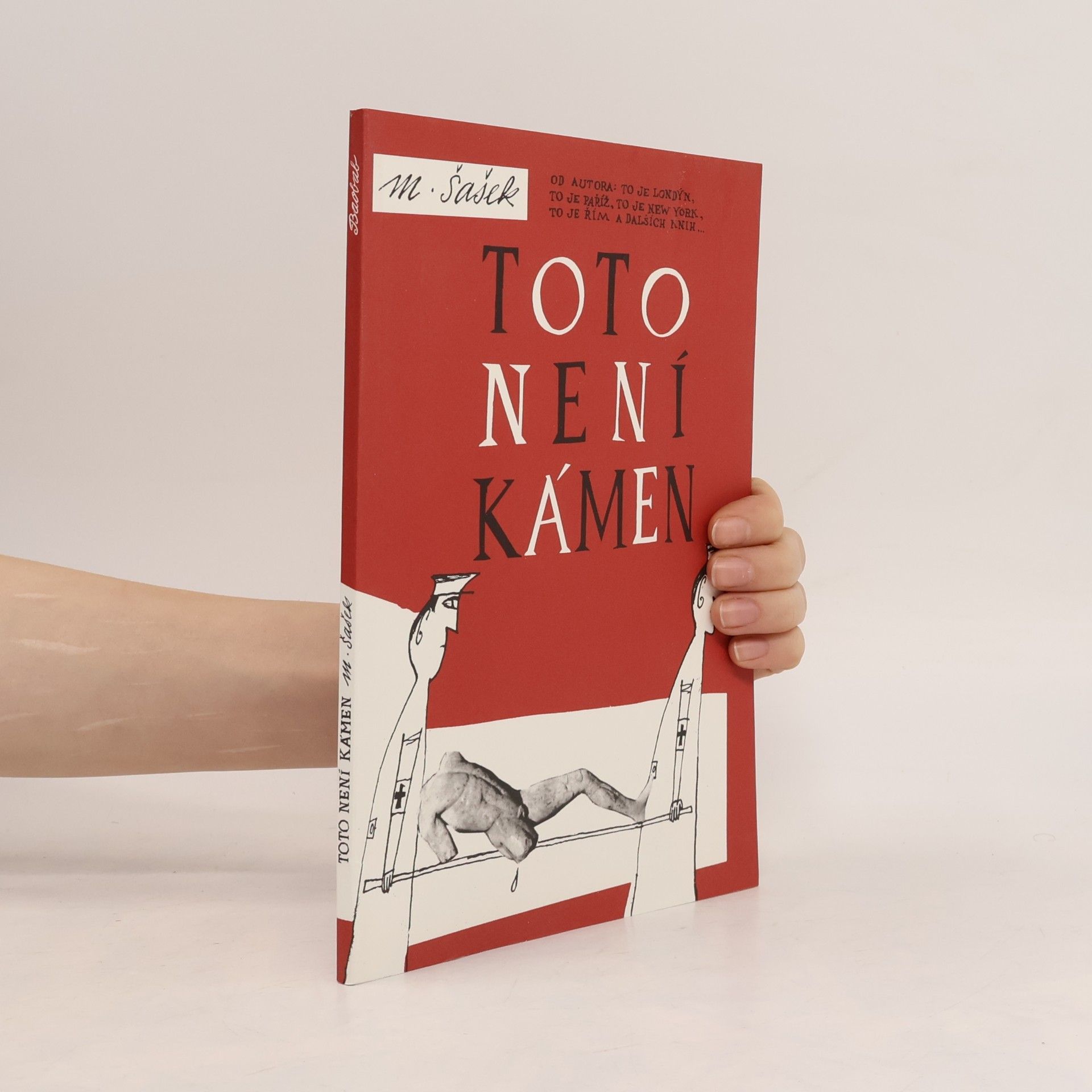 Miroslav Sasek Toto není kámen