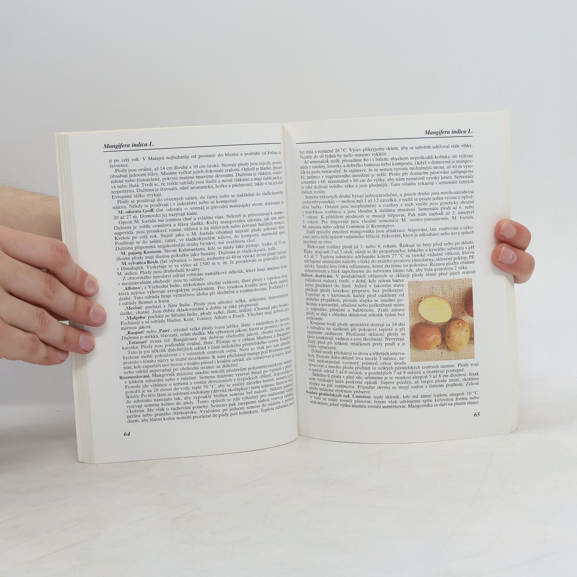 Jiří Šamla Subtropy II. Pěstitelské praktikum B