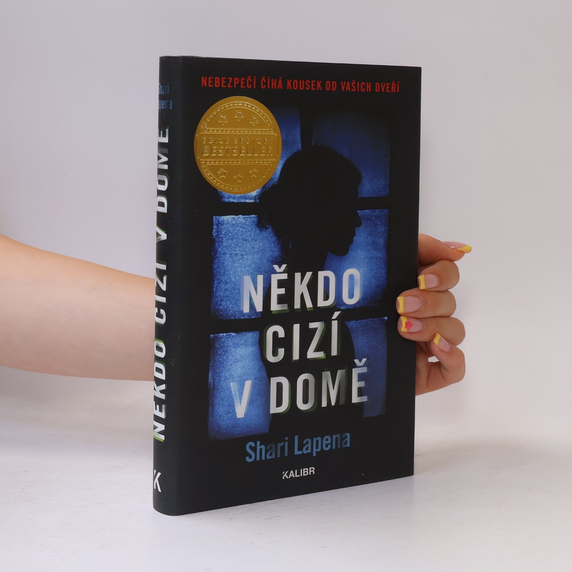 Shari Lapenová Někdo cizí v domě