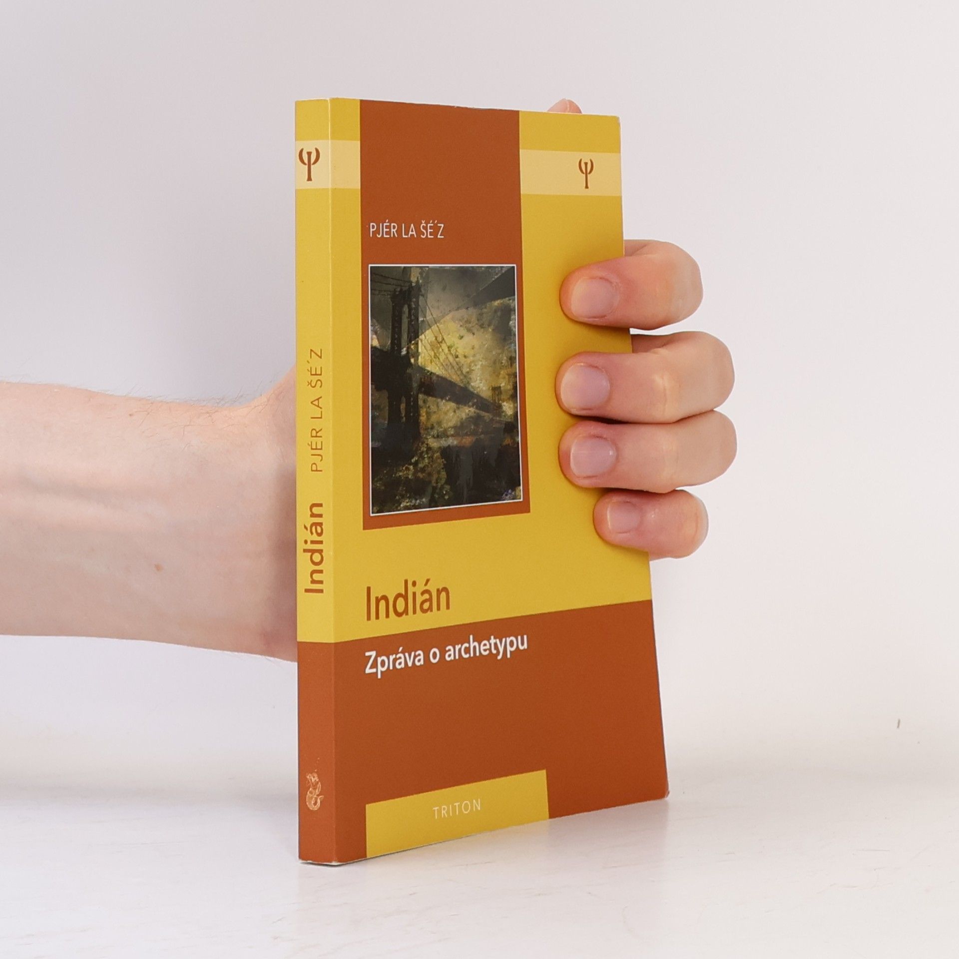 Pjér la Šéz Indián: Zpráva o archetypu