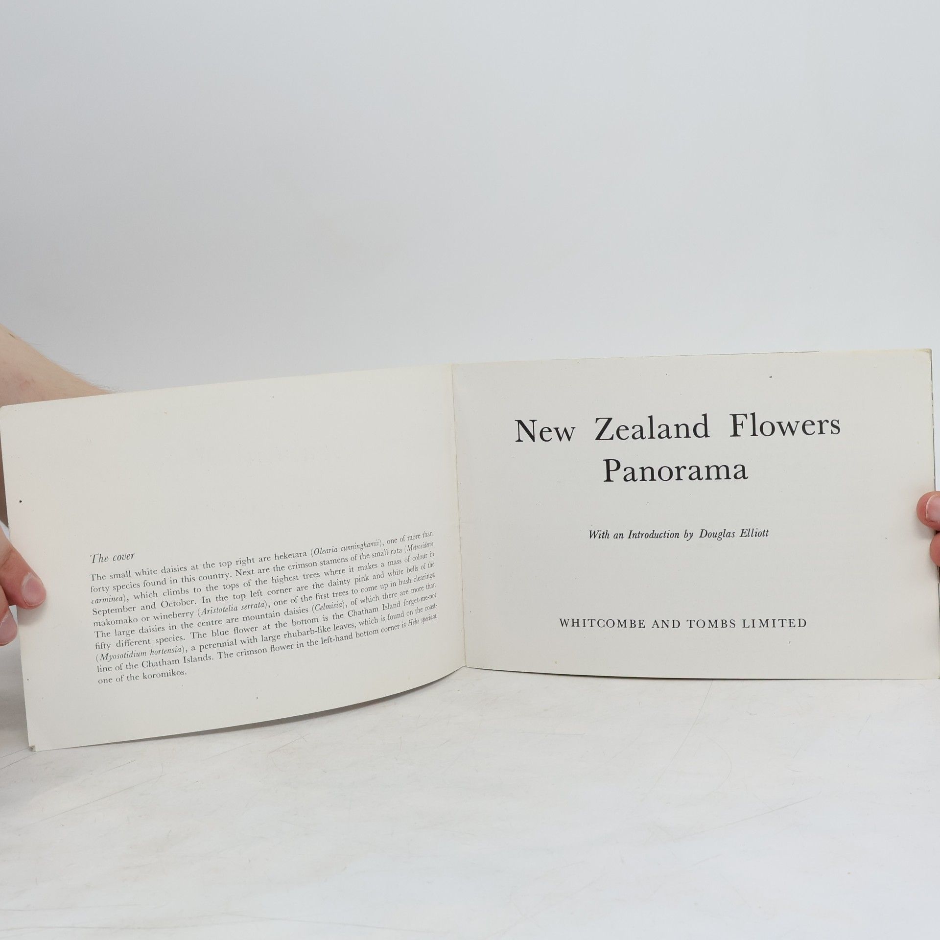 Autorenkollektiv New Zealand Flowers Panorama