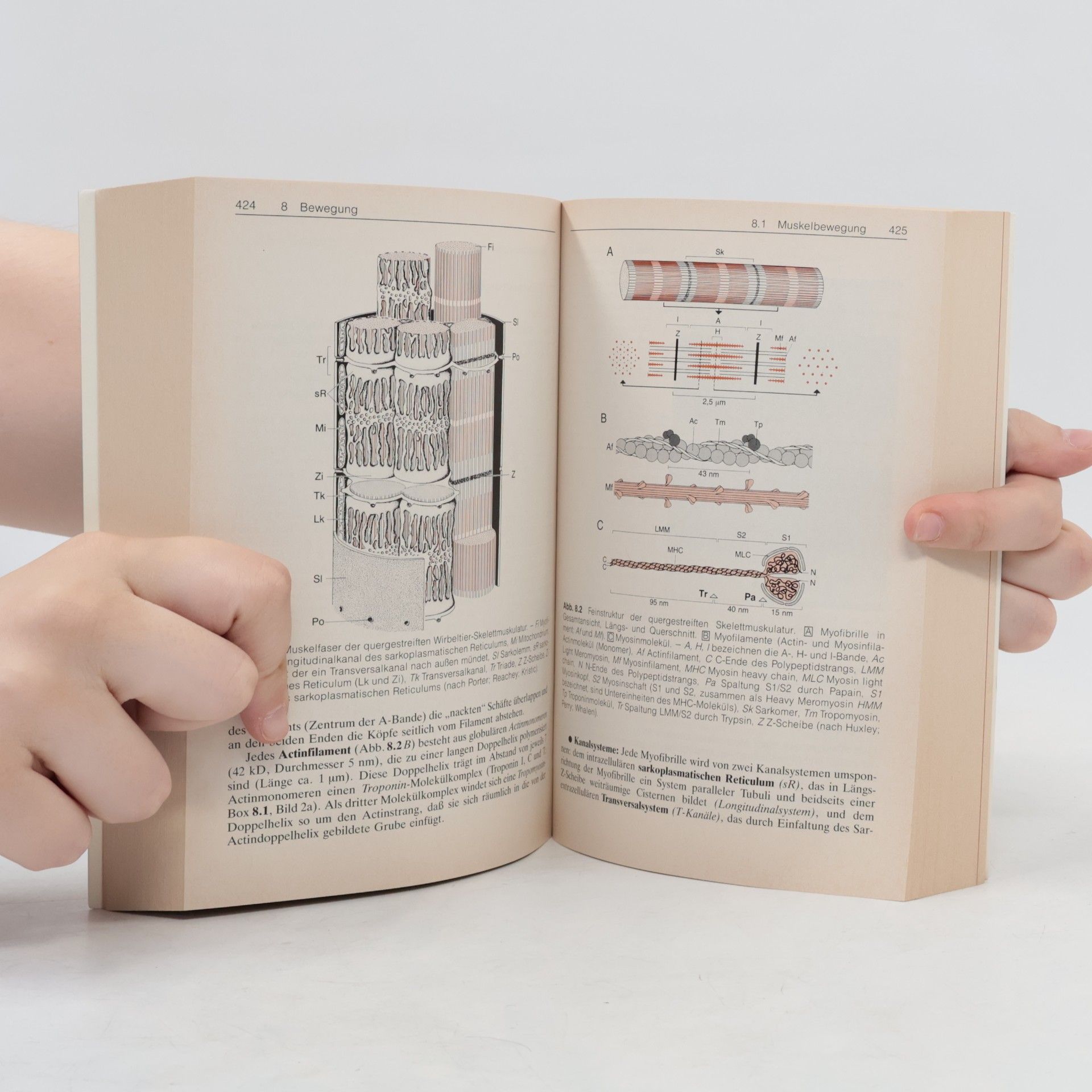 Rüdiger Wehner Zoologie