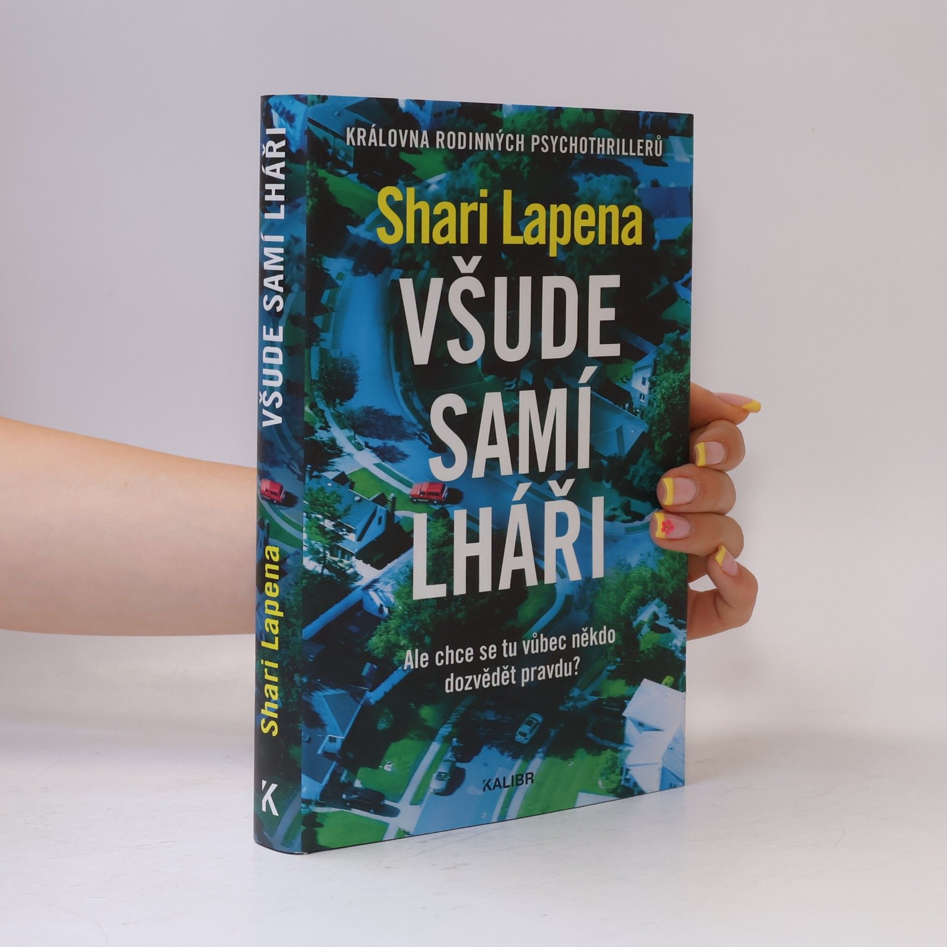 Shari Lapena Všude samí lháři