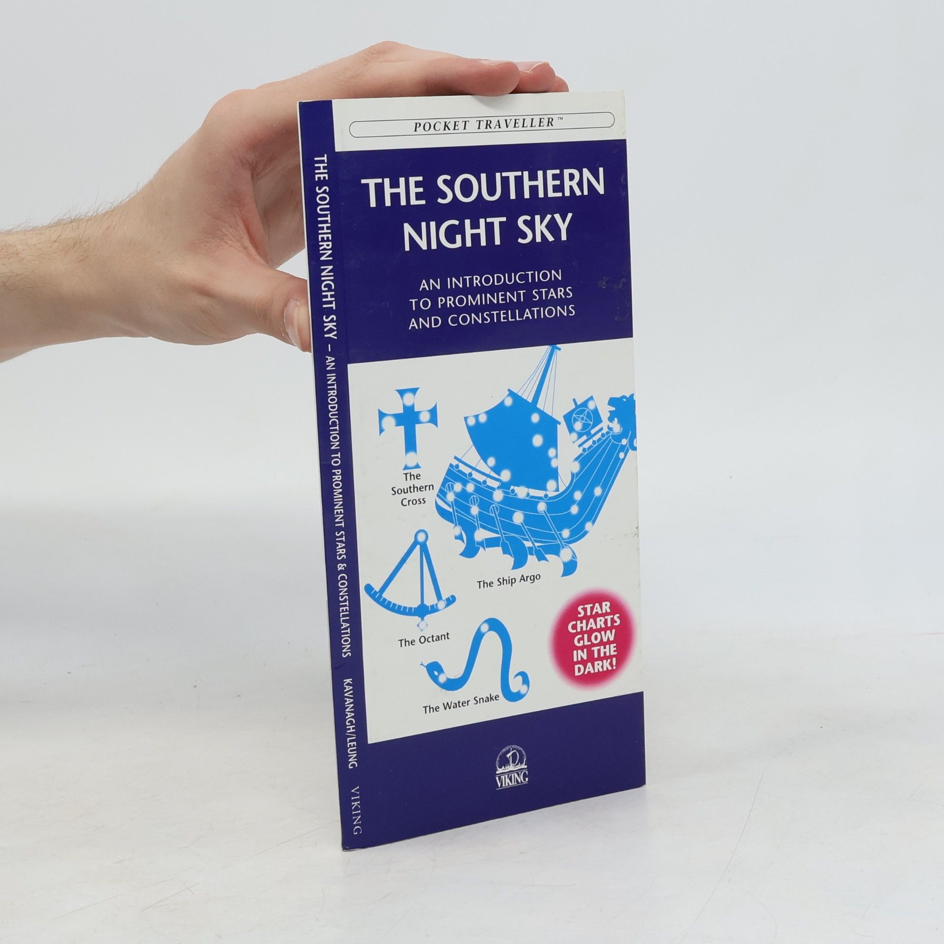 Leung The Southern Night Sky
