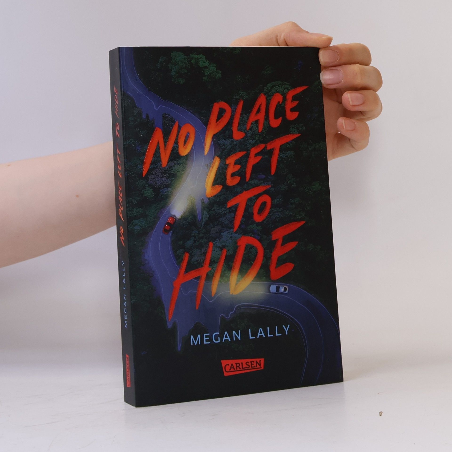 Megan Lally No Place Left to Hide