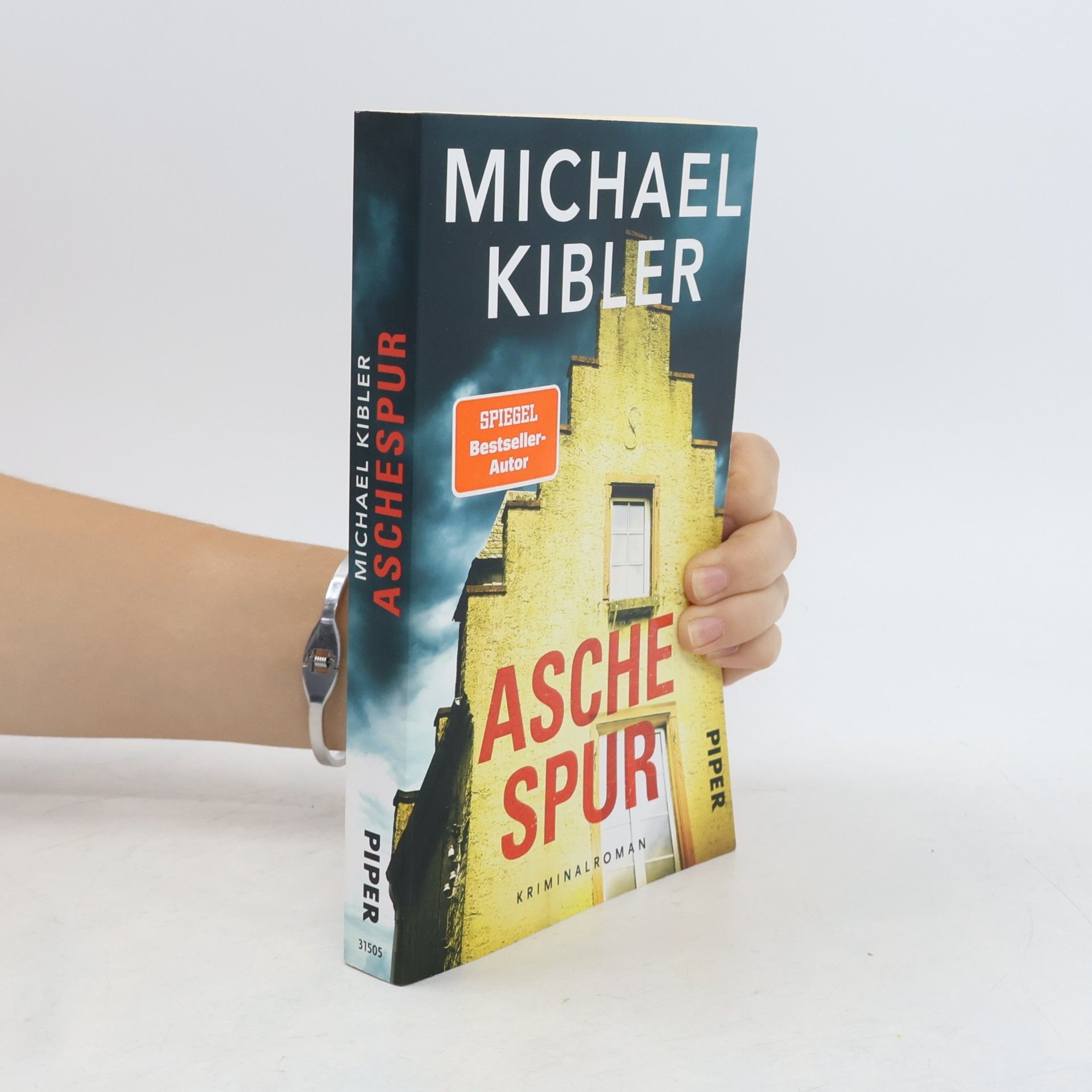 Michael Kibler Aschespur