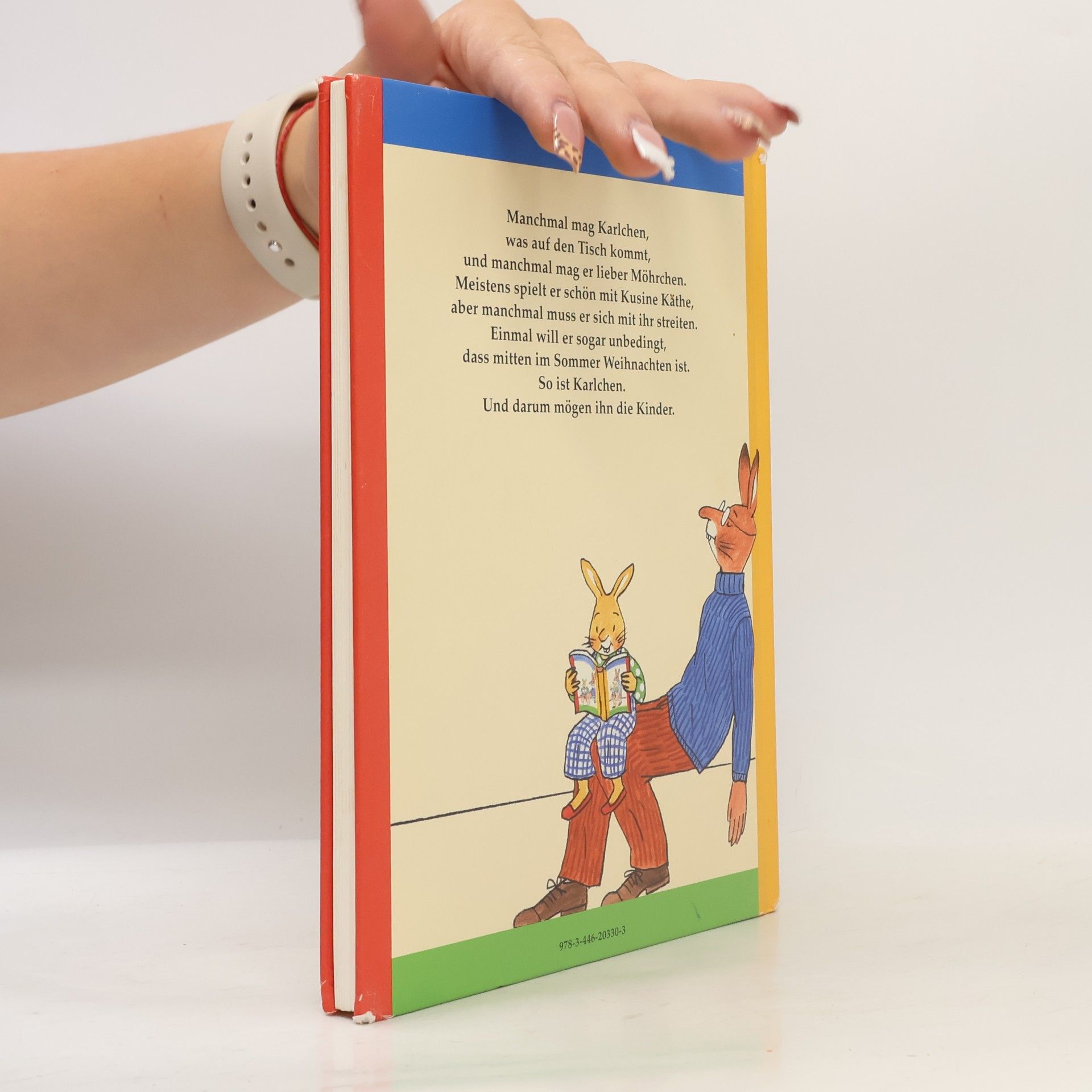 Rotraut Susanne Berner Karlchen-Geschichten. Ein Vorlese-Bilder-Buch