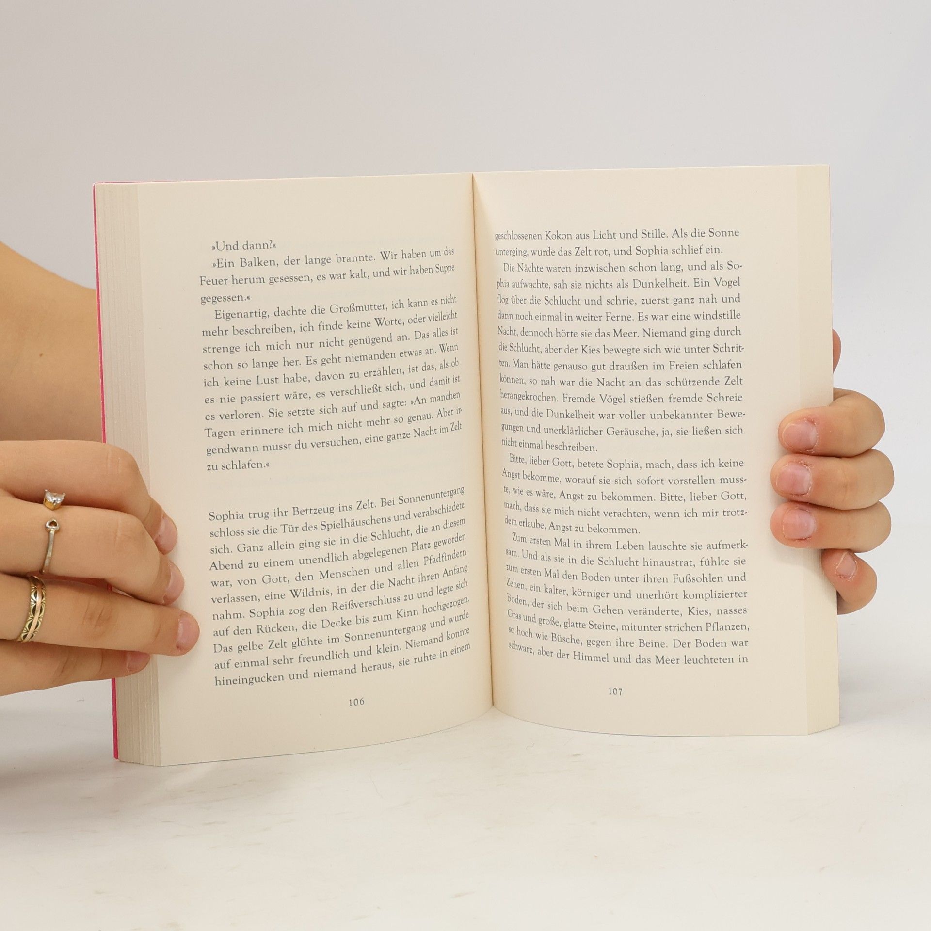 Tove Jansson Das Sommerbuch