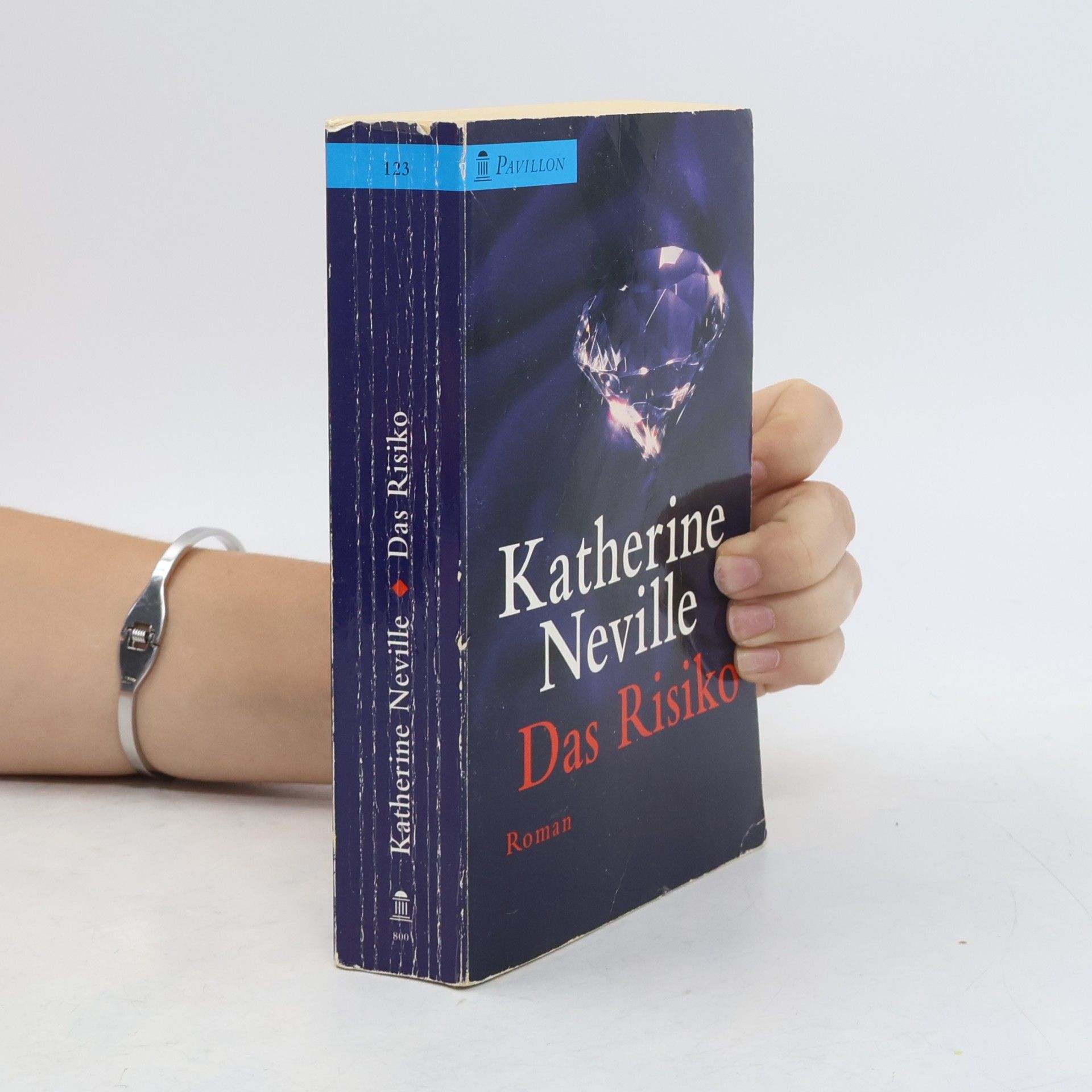 Katherine Neville Das Risiko