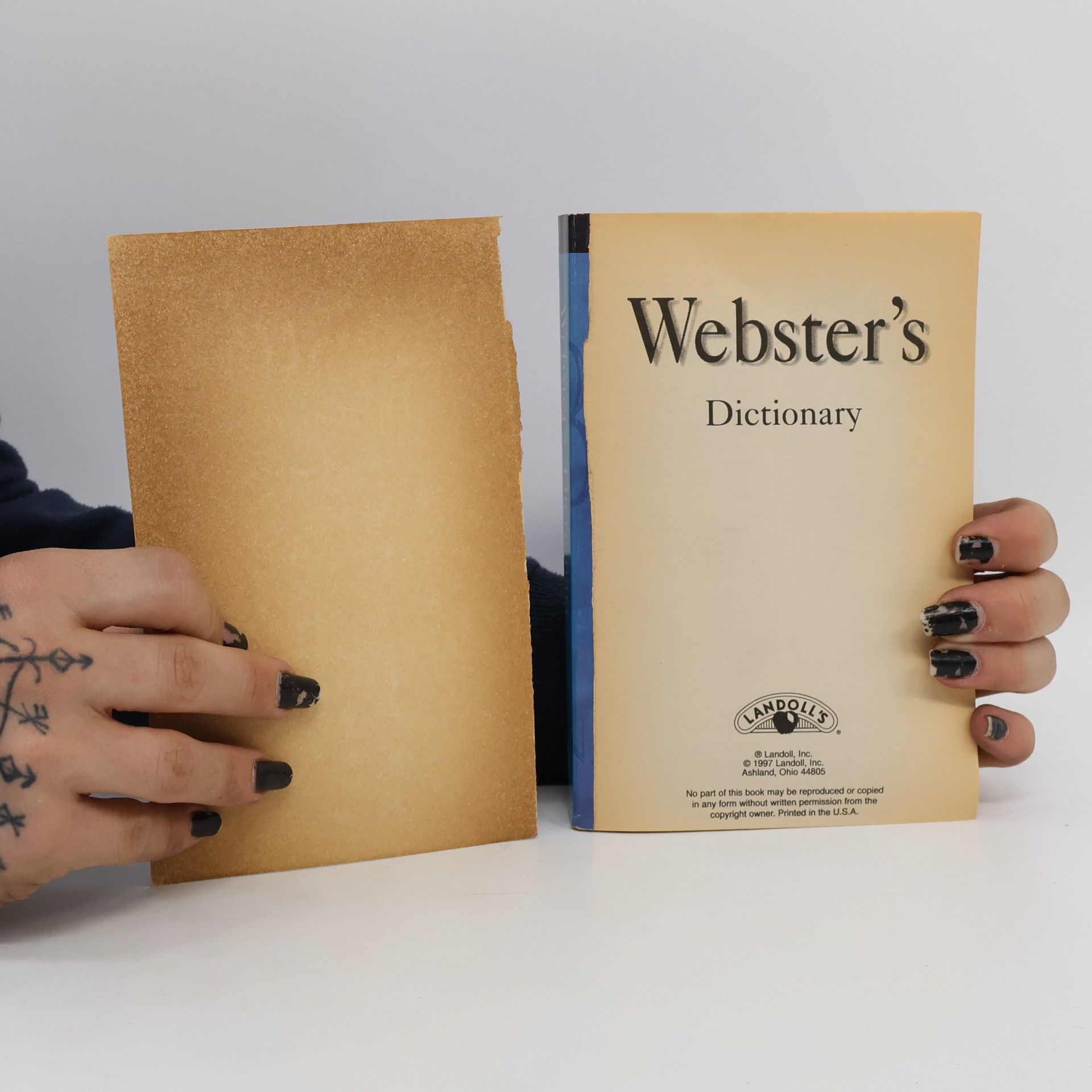 Autorenkollektiv Webster's Dictionary