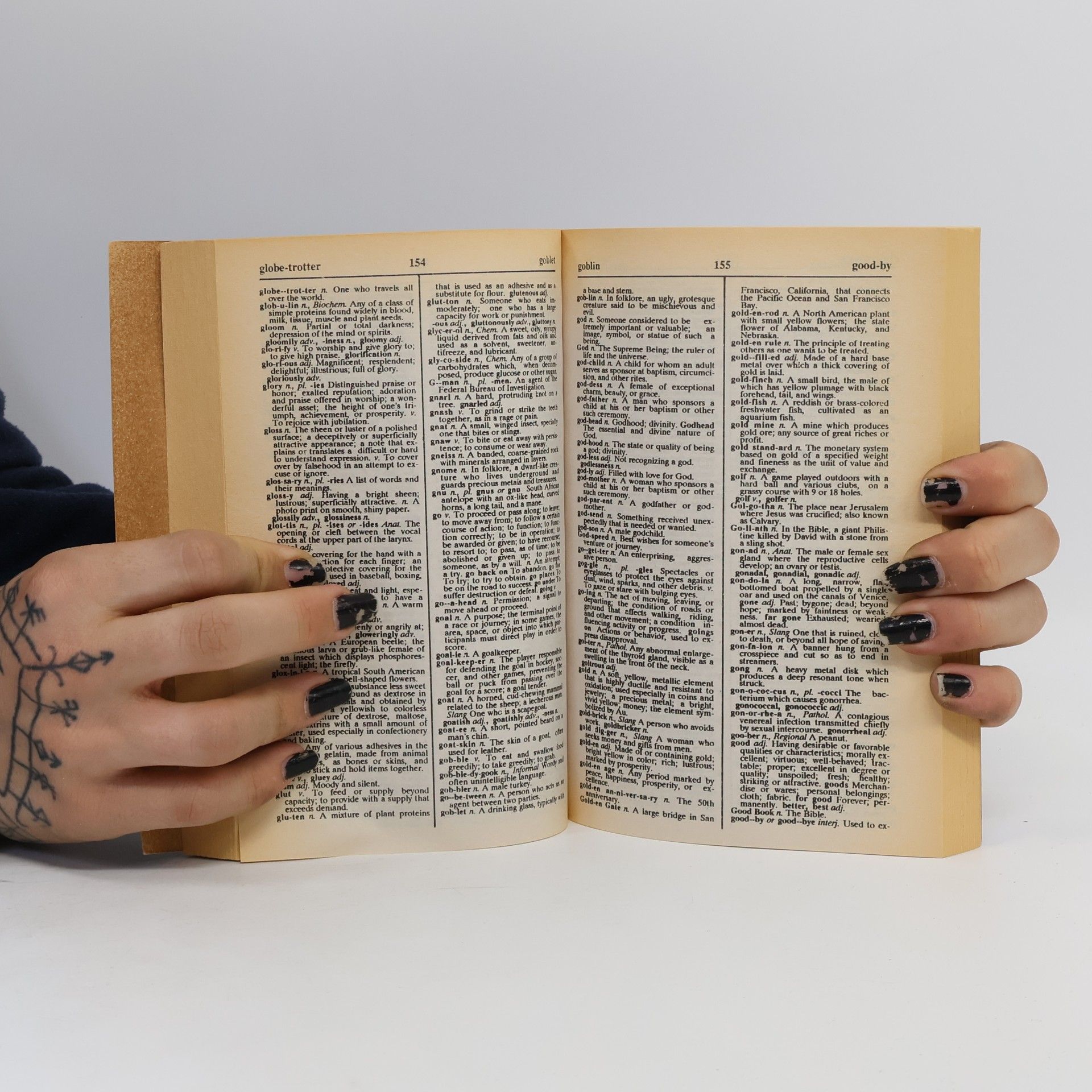 Autorenkollektiv Webster's Dictionary