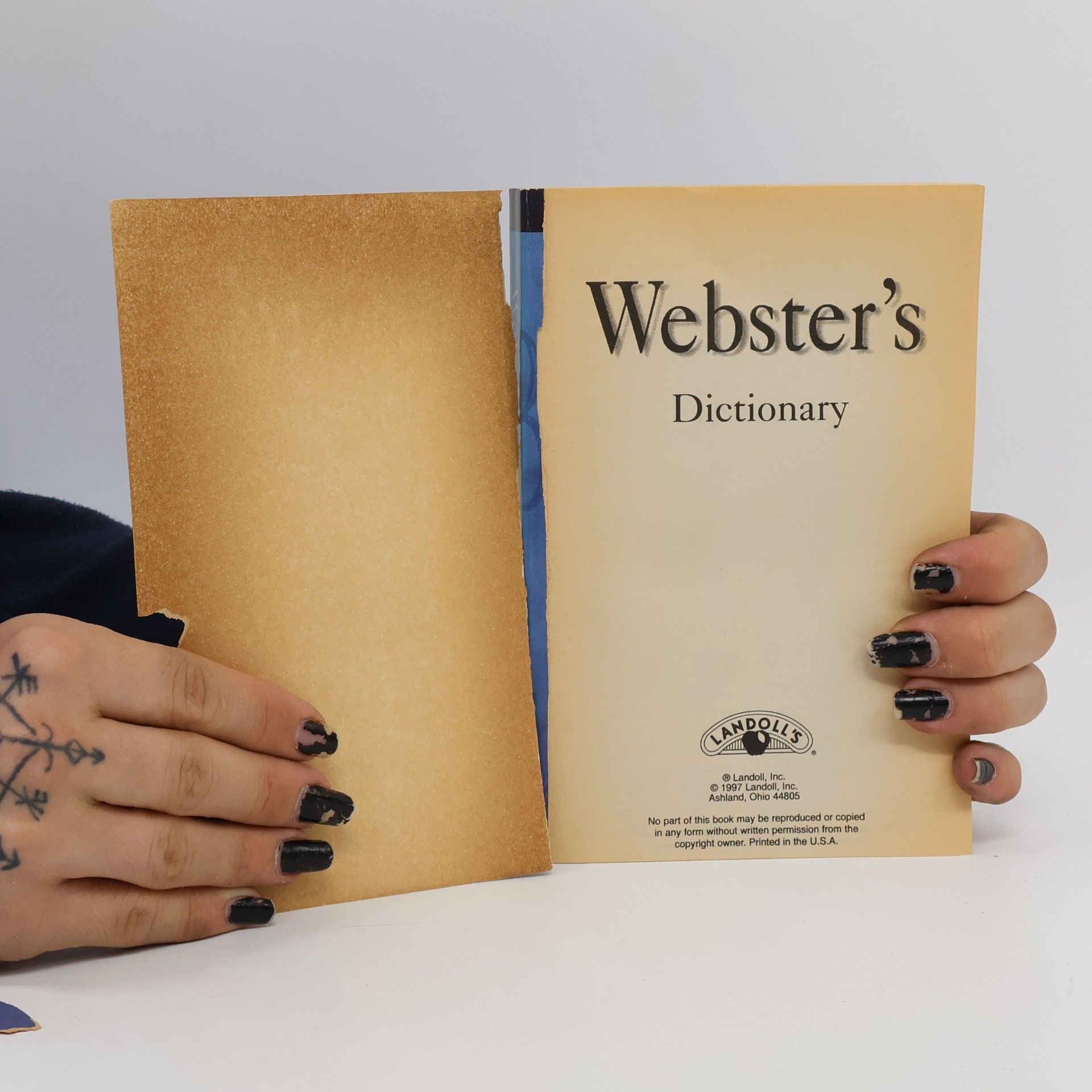 Autorenkollektiv Webster's Dictionary