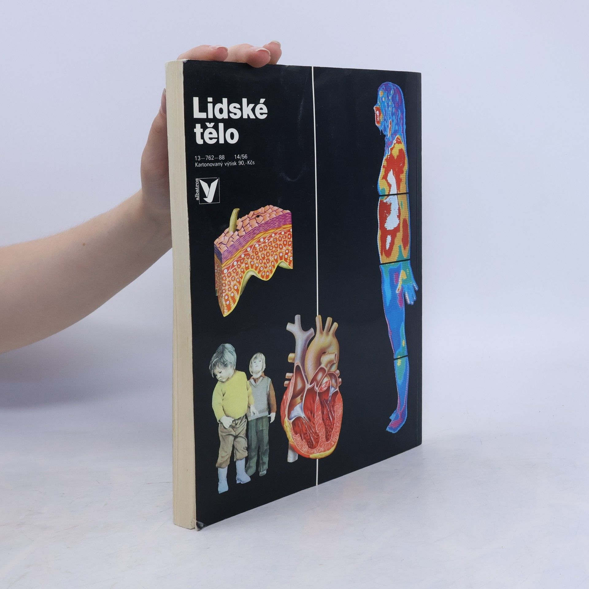 Autorenkollektiv Lidské tělo