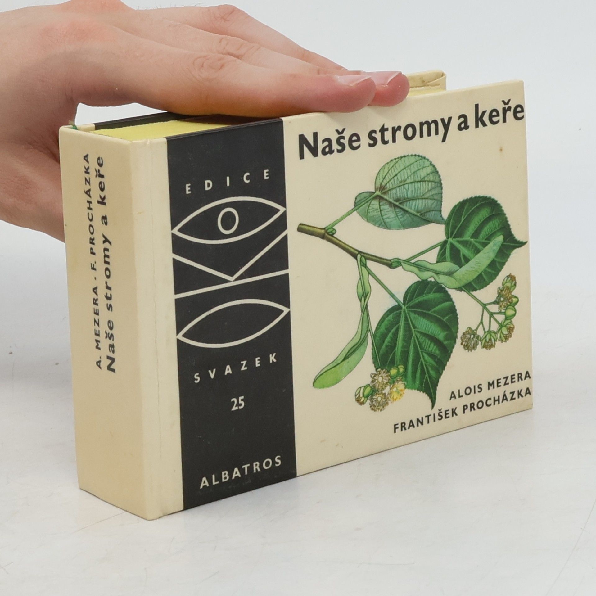 Alois Mezera Naše stromy a keře