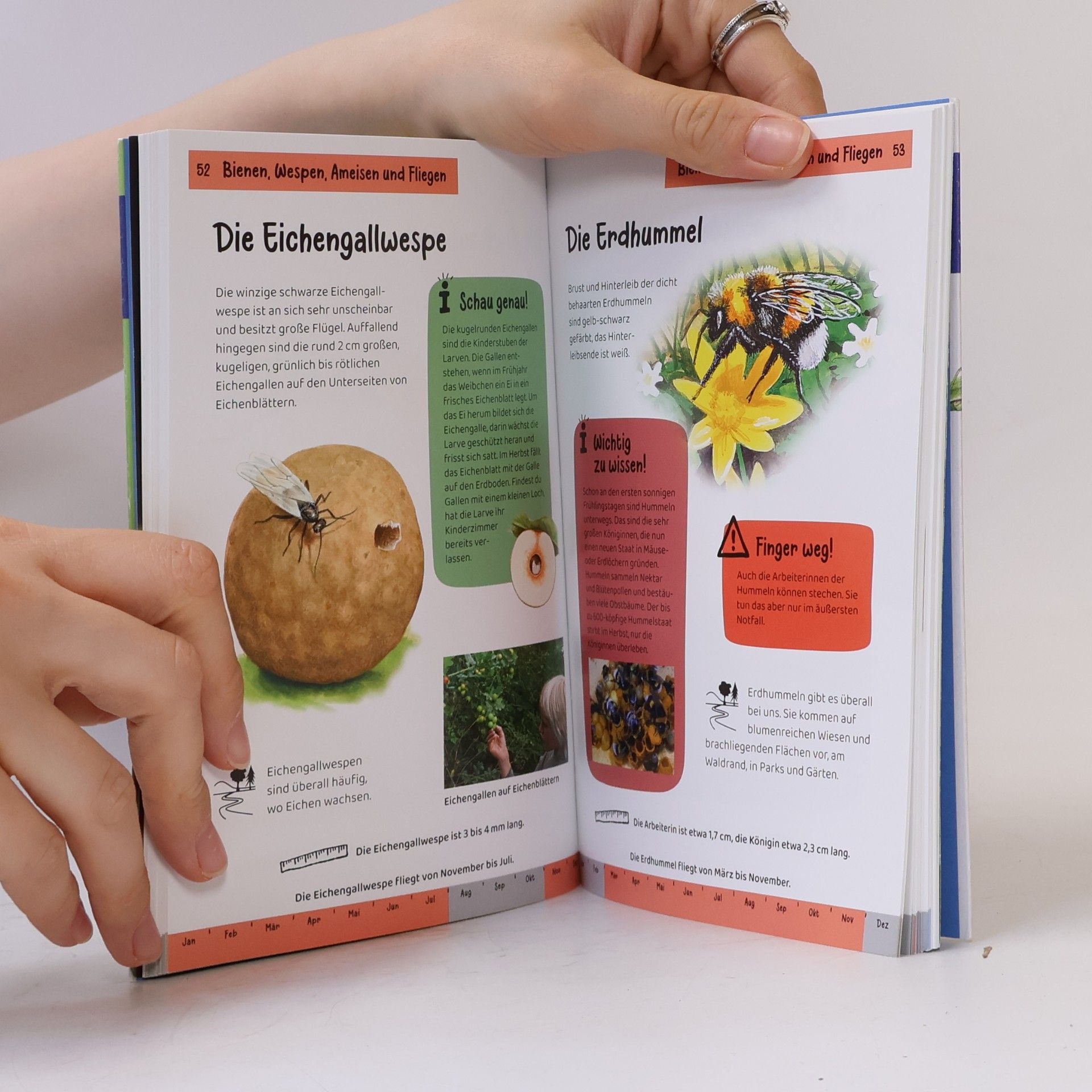 Bärbel Oftring Was krabbelt denn da? Kindernaturführer