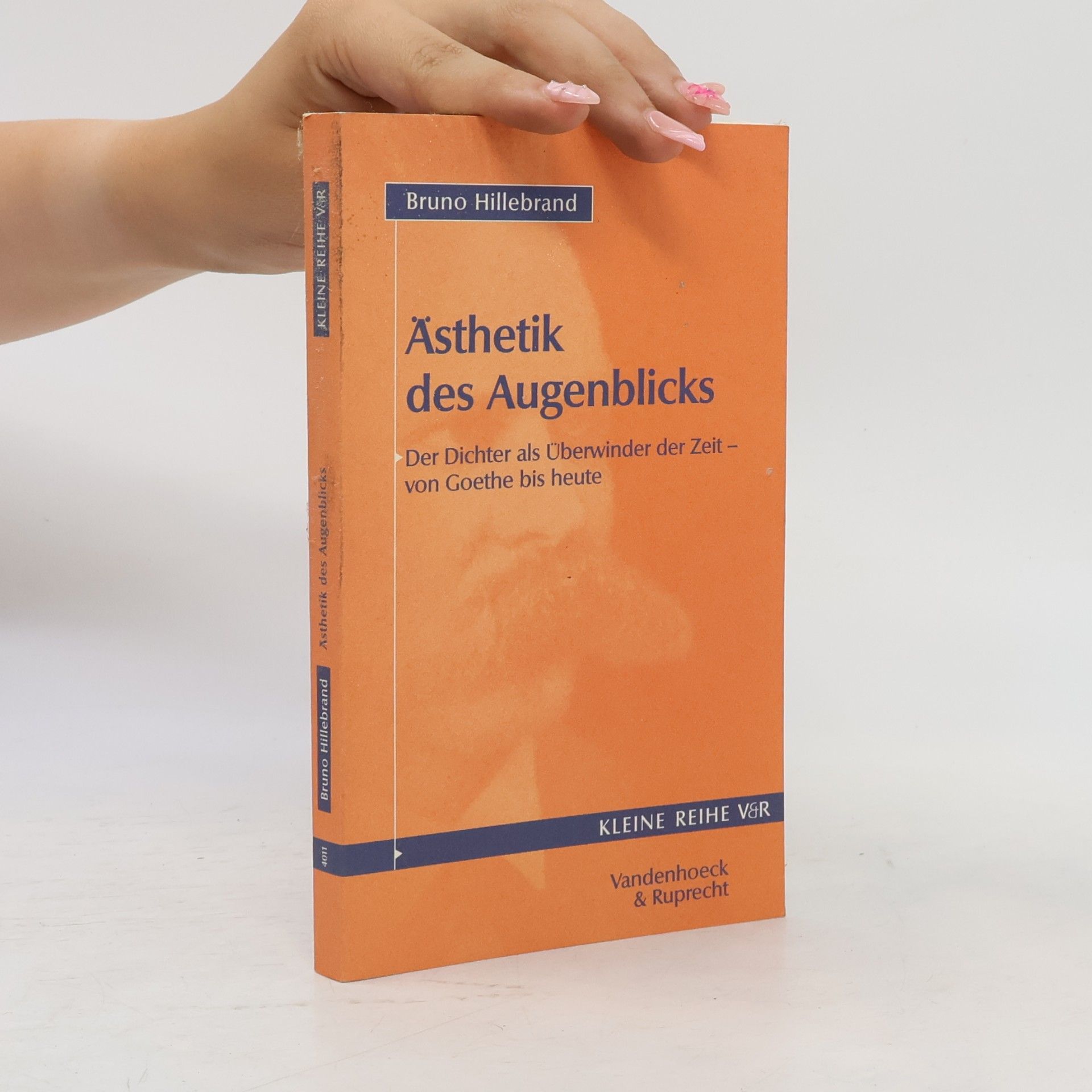 Bruno Hillebrand Ästhetik des Augenblicks