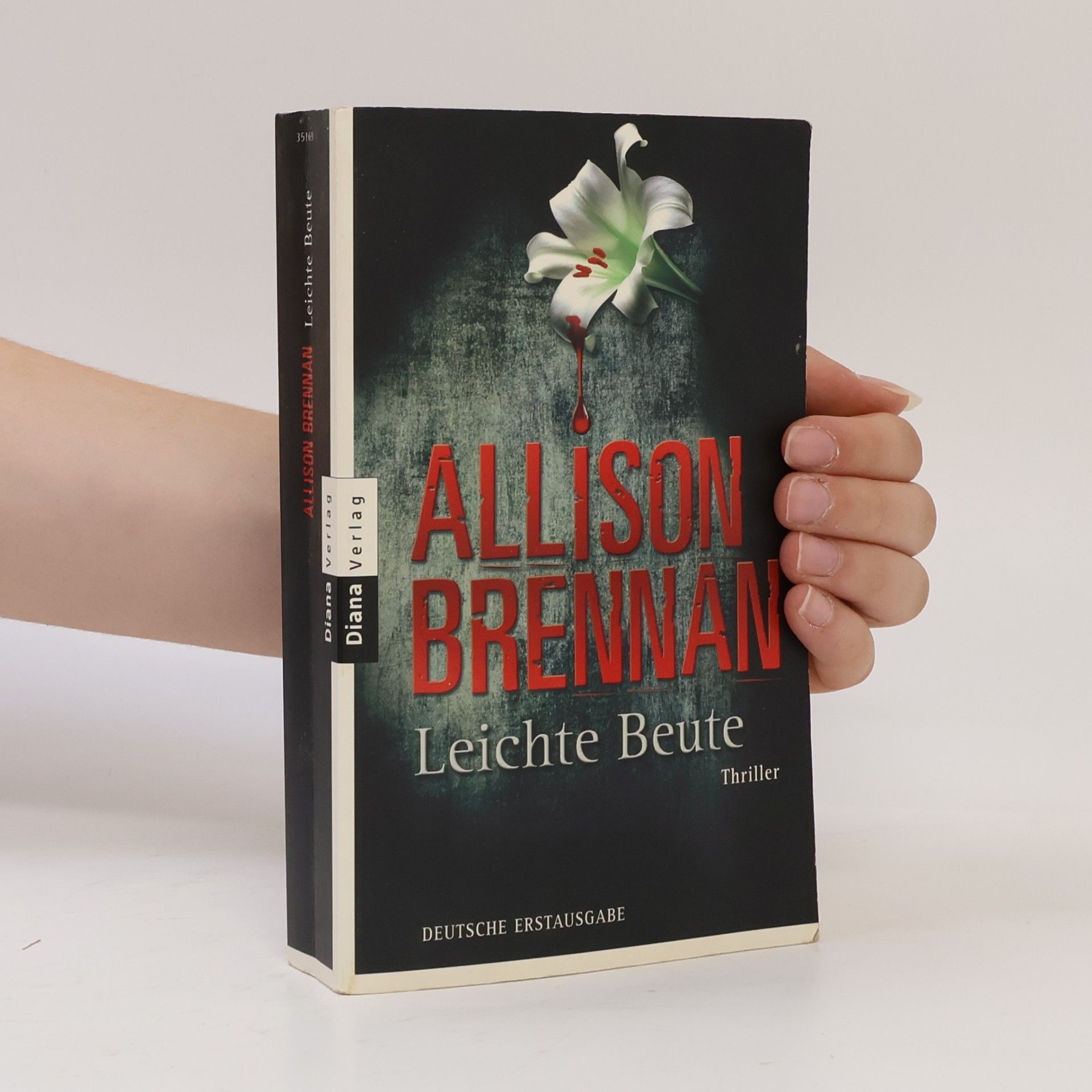Allison Brennan Leichte Beute