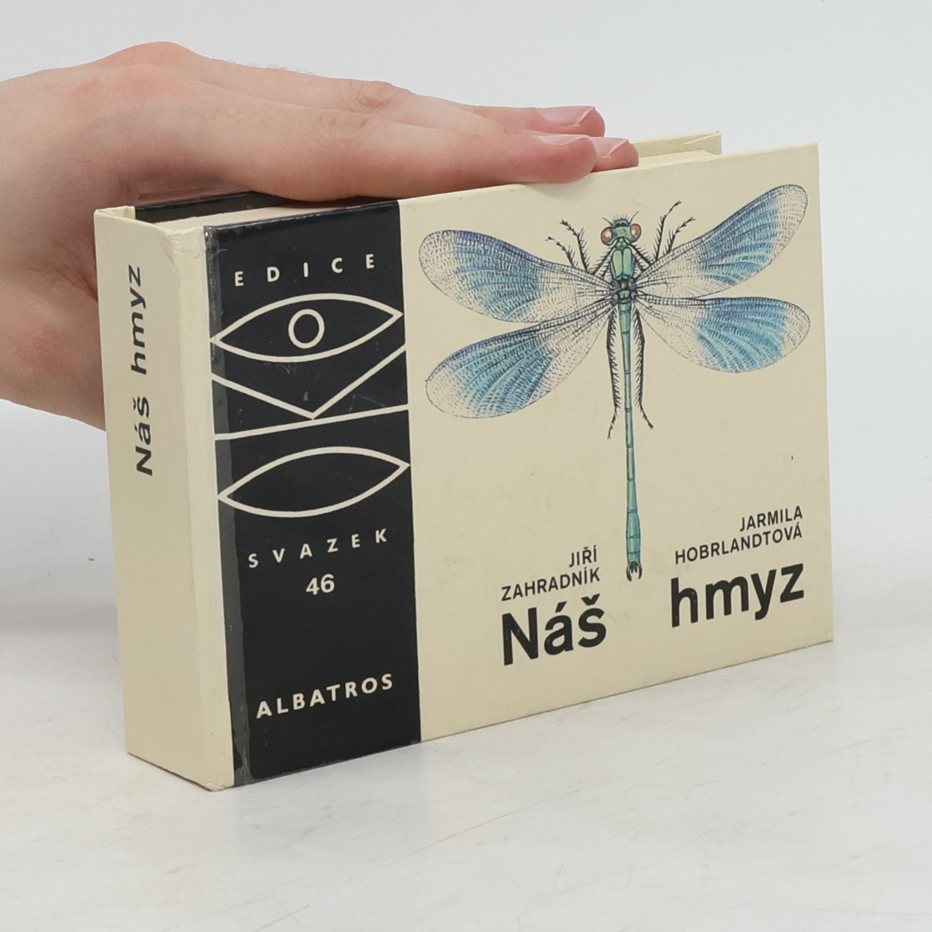 Náš hmyz