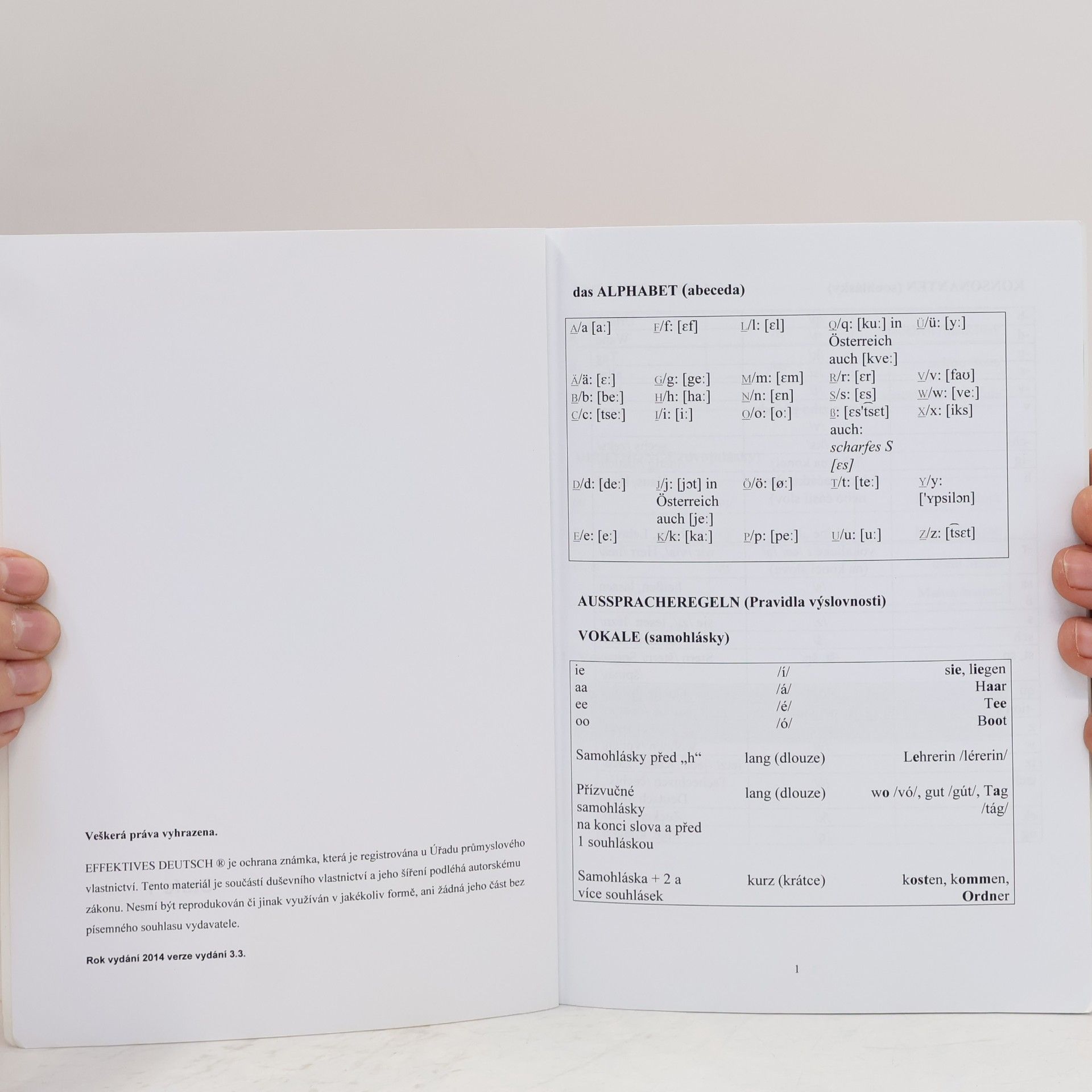 Kolektiv autorů Effektives Deutsch. Stufe 1