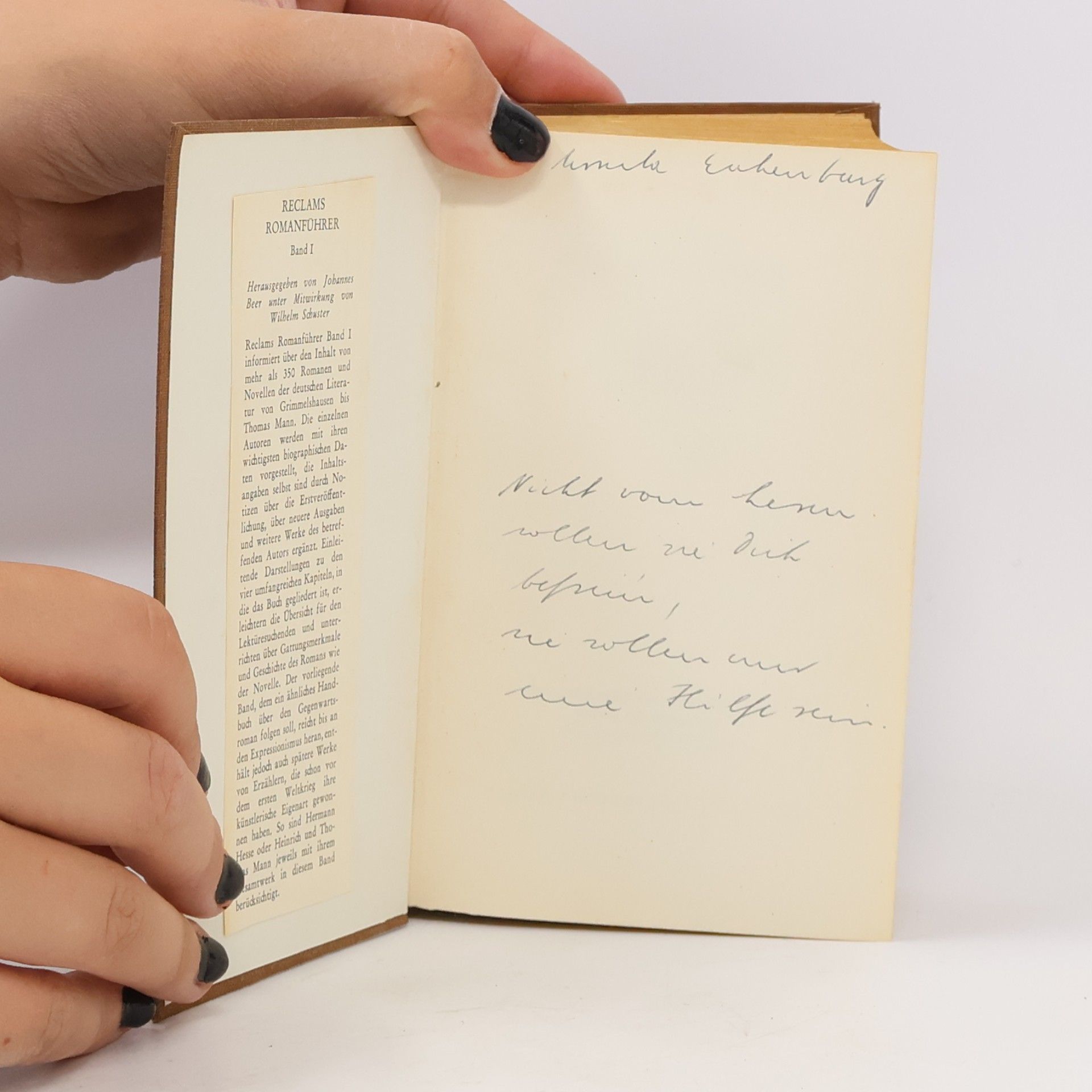 Autores varios Reclams Roman Führer Band I.