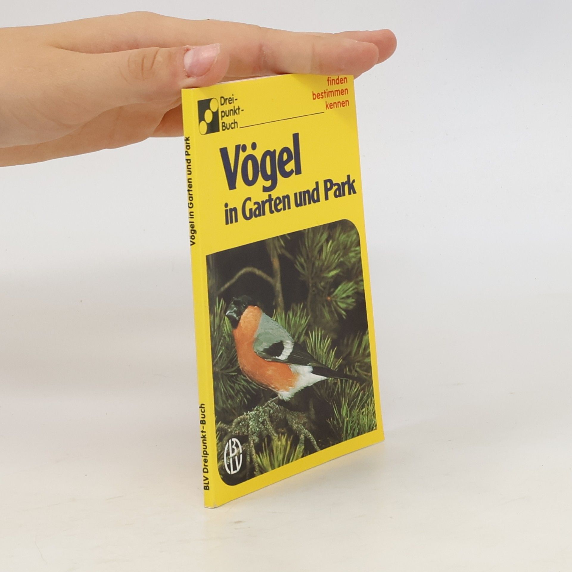 Autorenkollektiv Vögel in Garten und Park