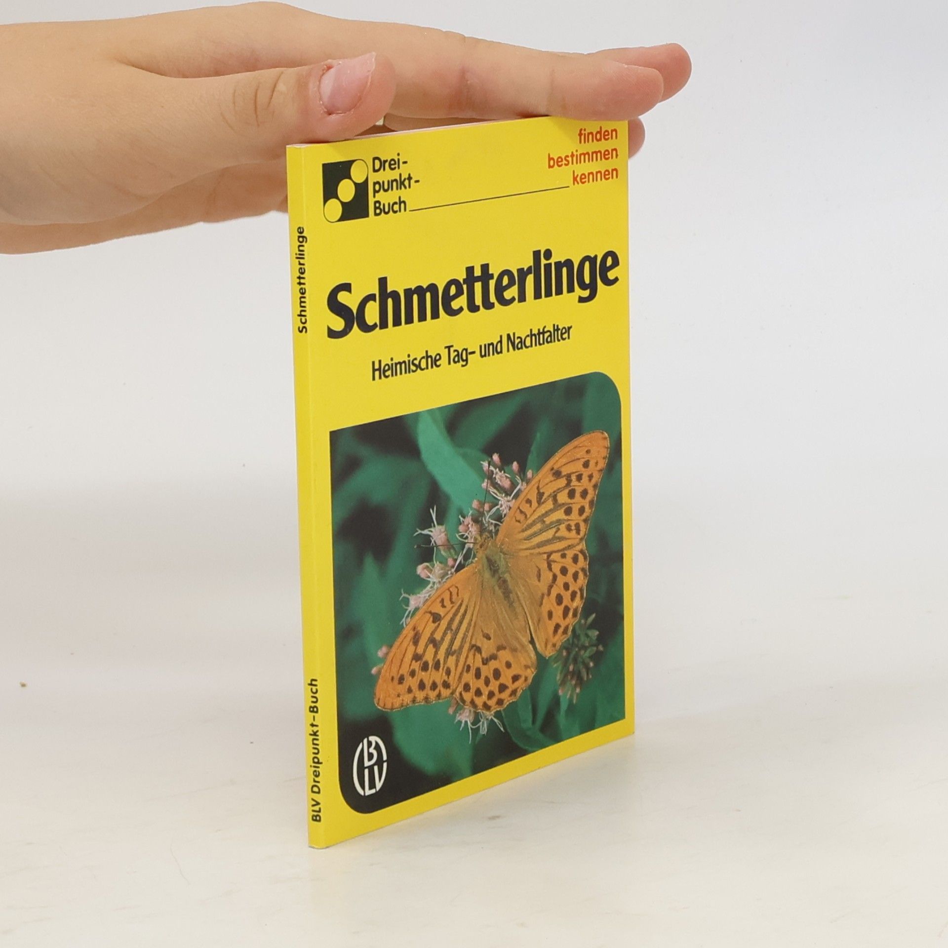 Schmetterlinge. Heimische Tag- und Nachtfalter