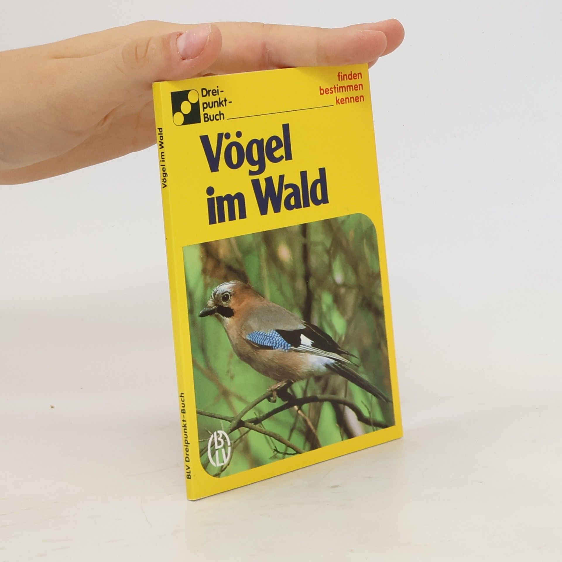 Ute E. Zimmer Vögel im Wald