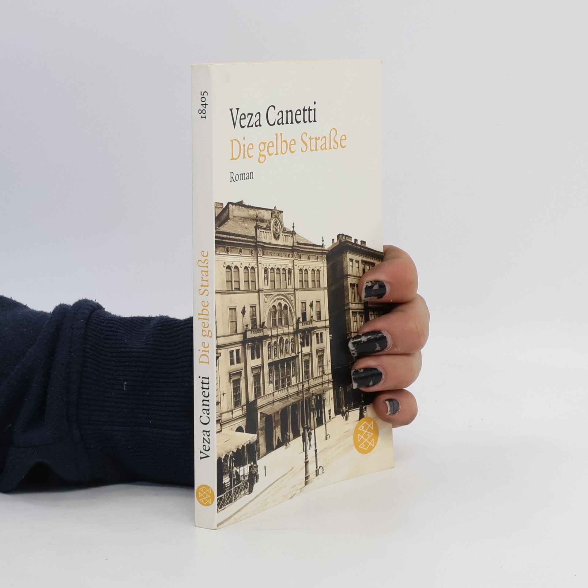 Veza Canetti Die gelbe Straße