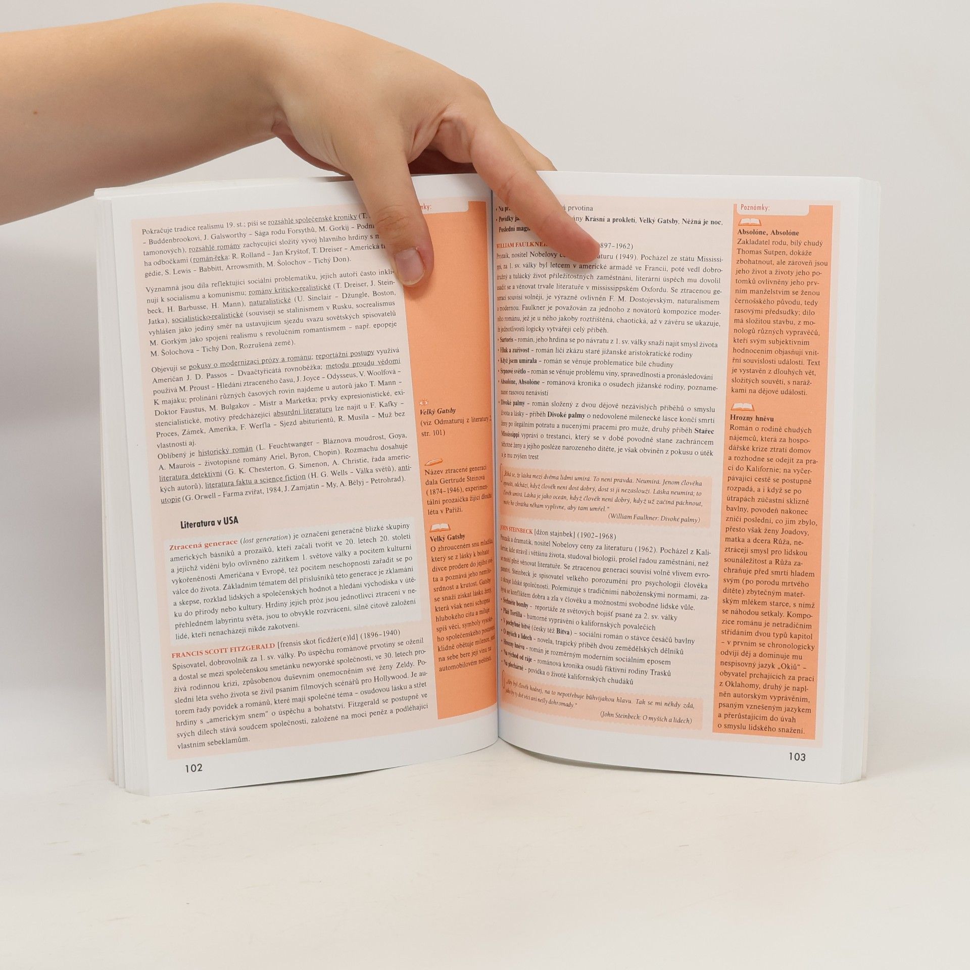 Autorenkollektiv Odmaturuj! z literatury 1 : včetně současné české a světové literatury