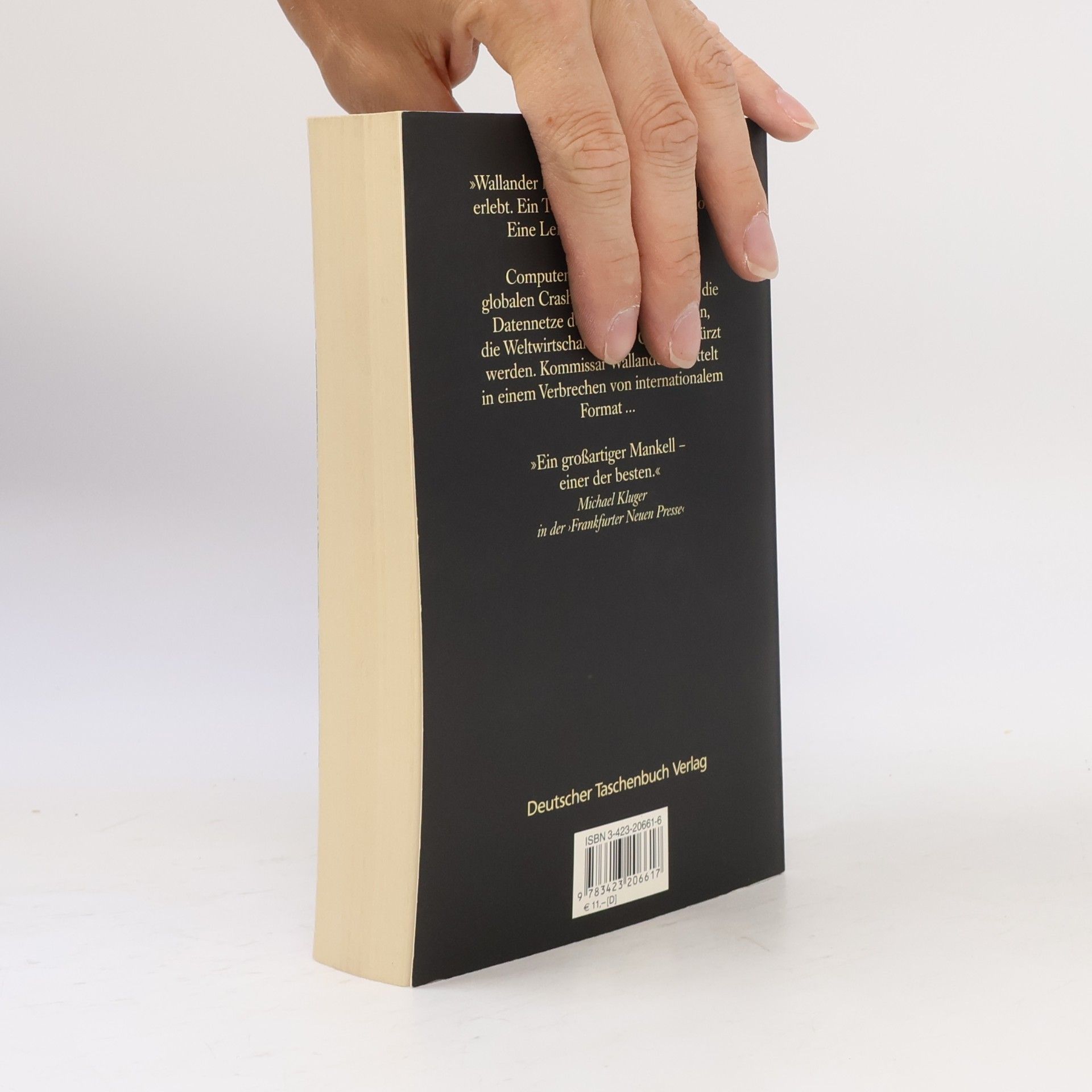 Henning Mankell Die Brandmauer