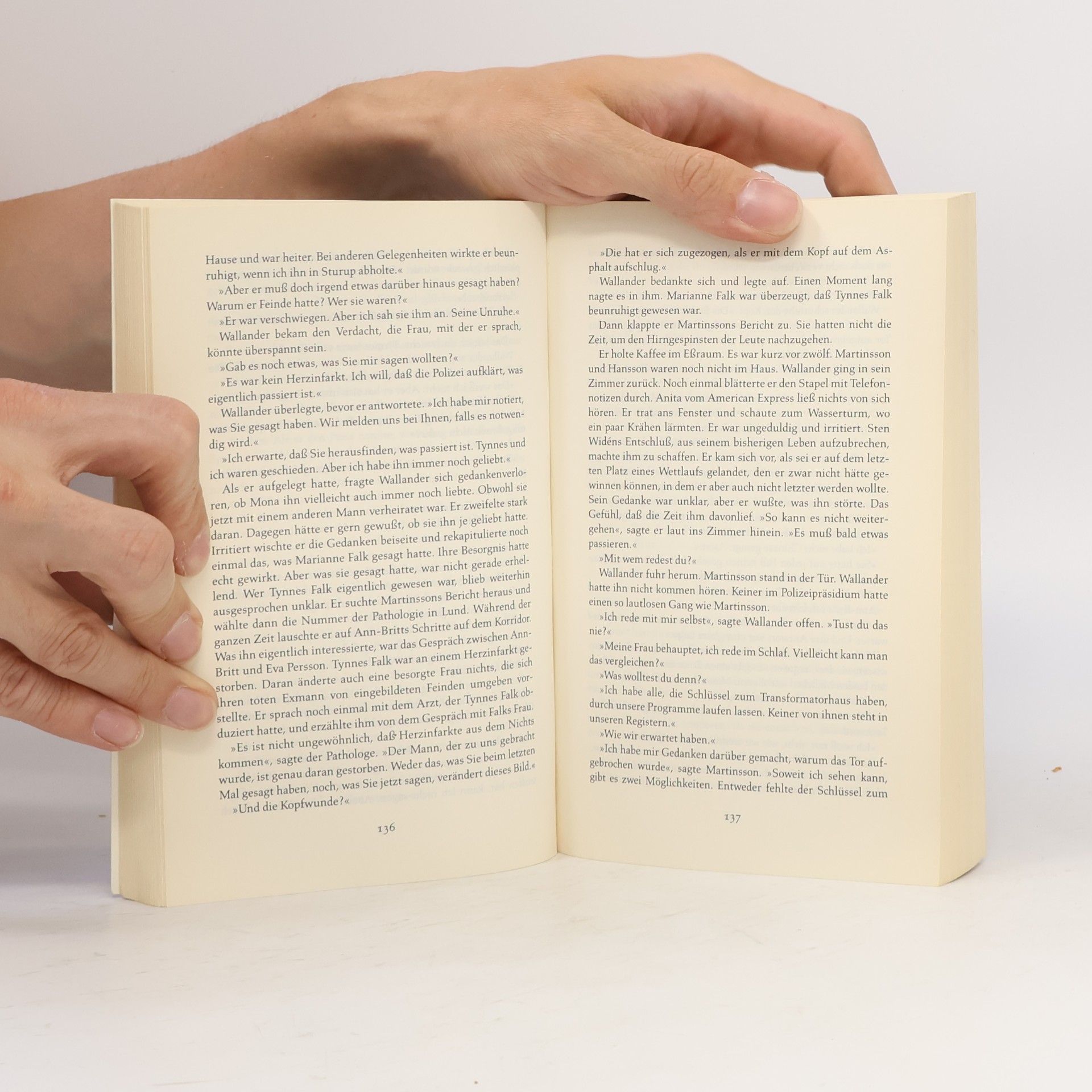 Henning Mankell Die Brandmauer