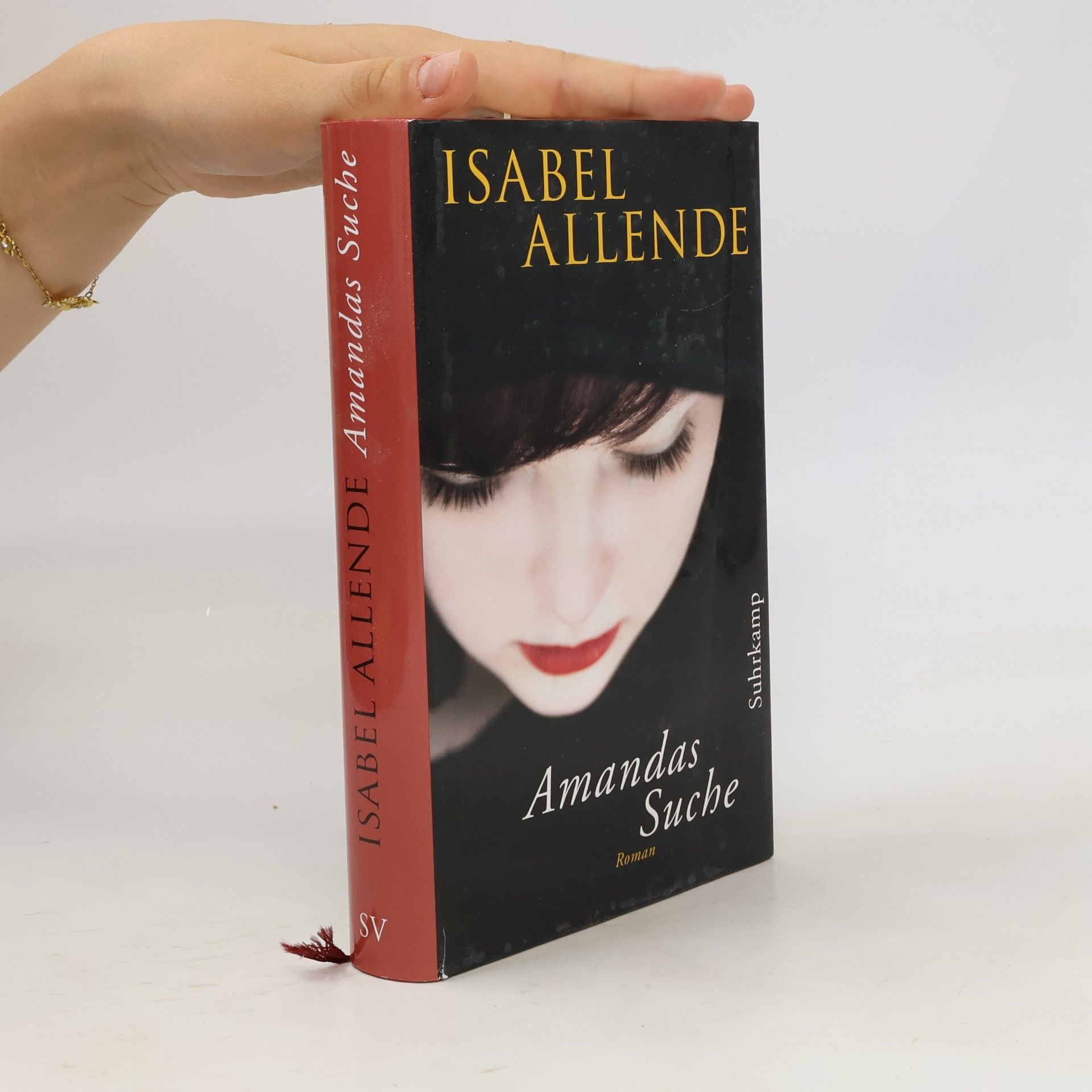 Isabel Allende Llona Amandas Suche