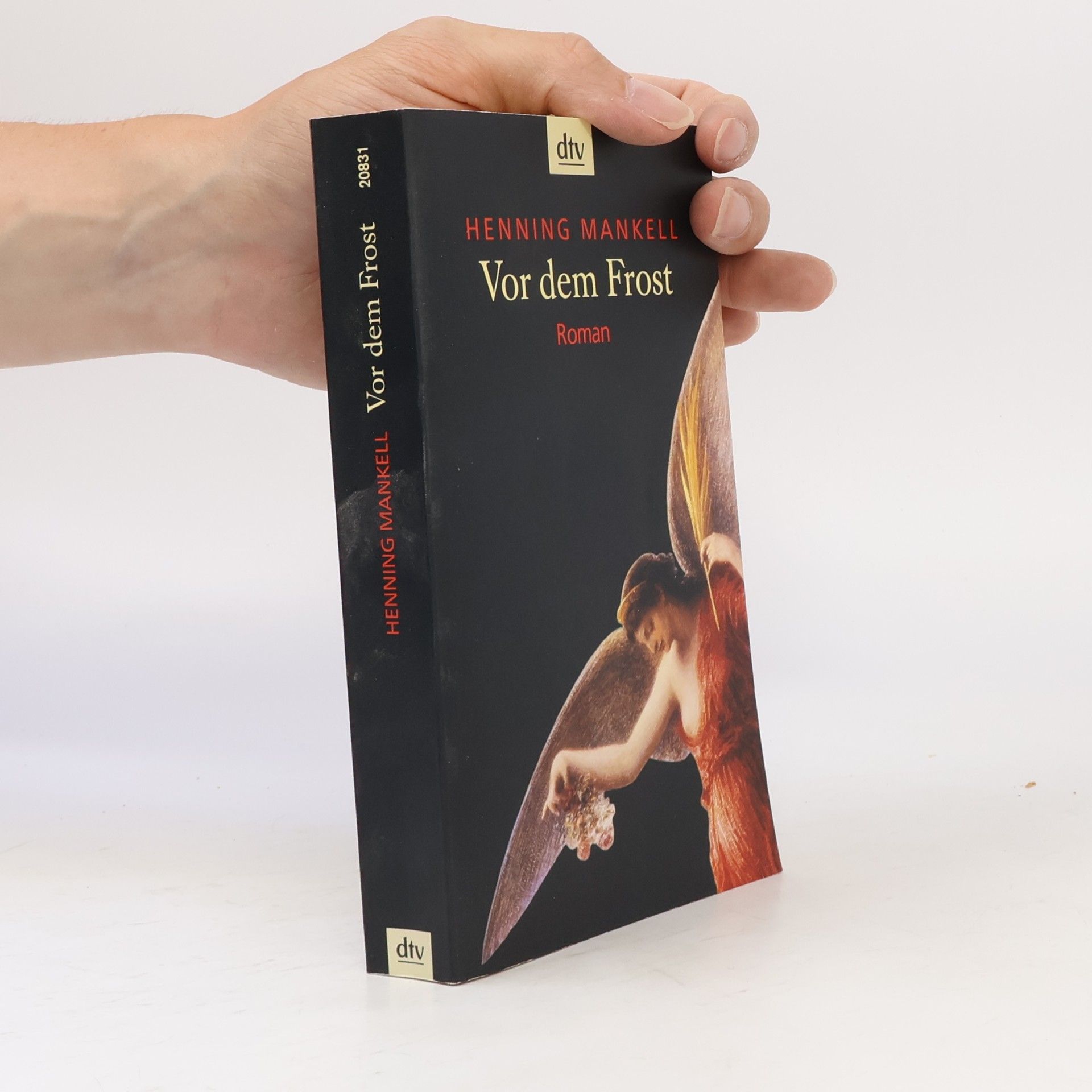 Henning Mankell Vor dem Frost