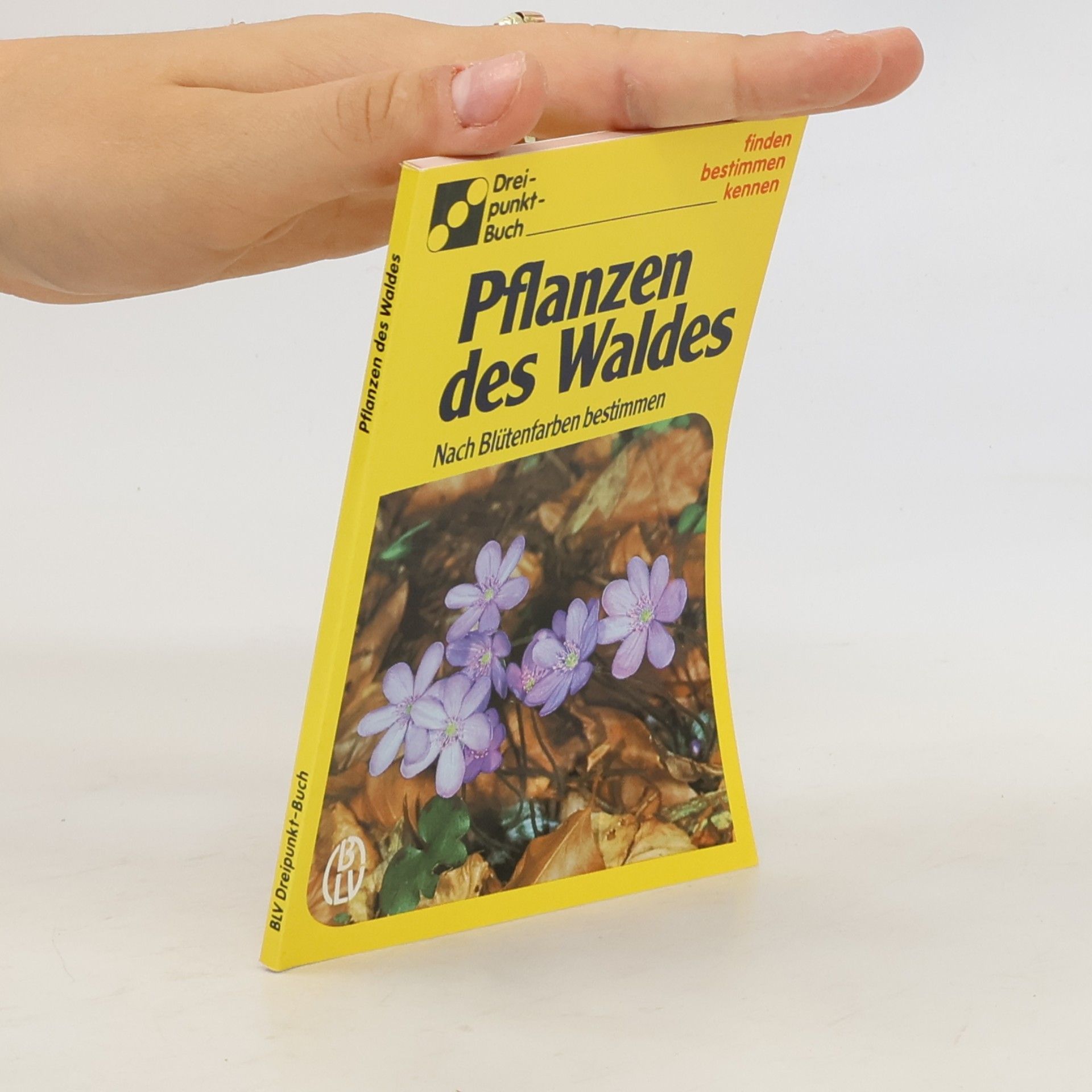 Auteurscollectief Pflanzen des Waldes