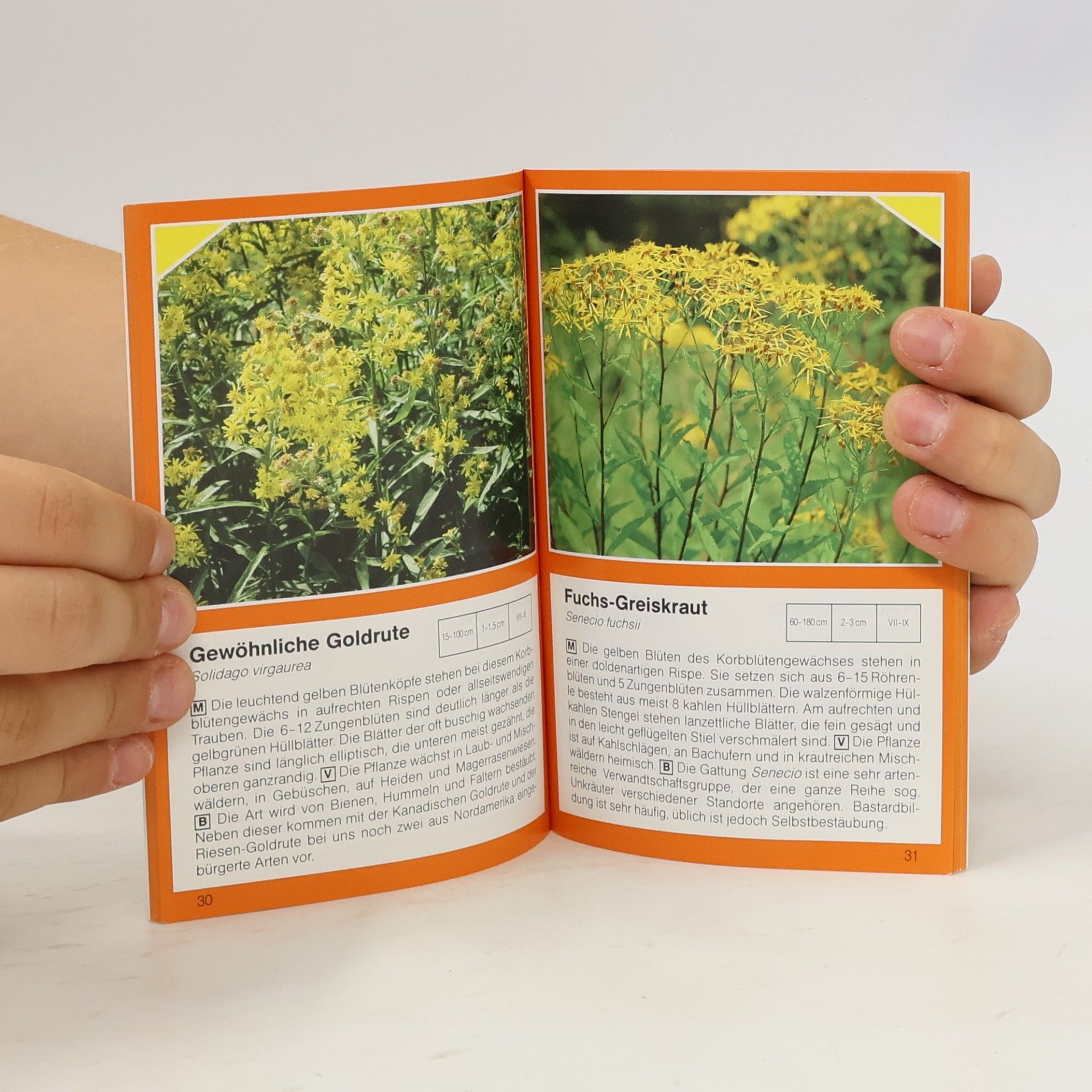 Various authors Pflanzen des Waldes