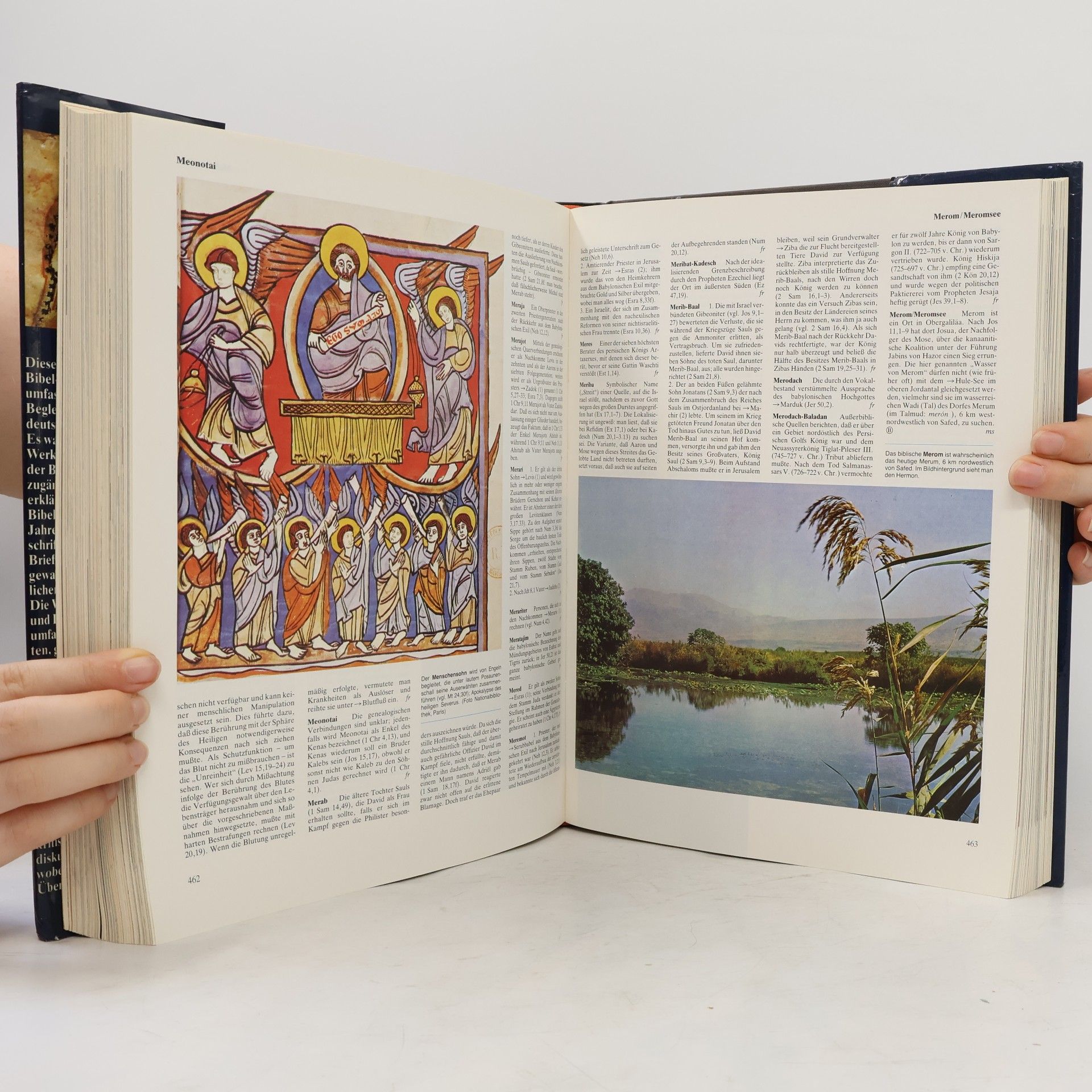 Matthias Stubhann Die Bibel von A-Z. Das aktuelle Lexikon zur Bibel
