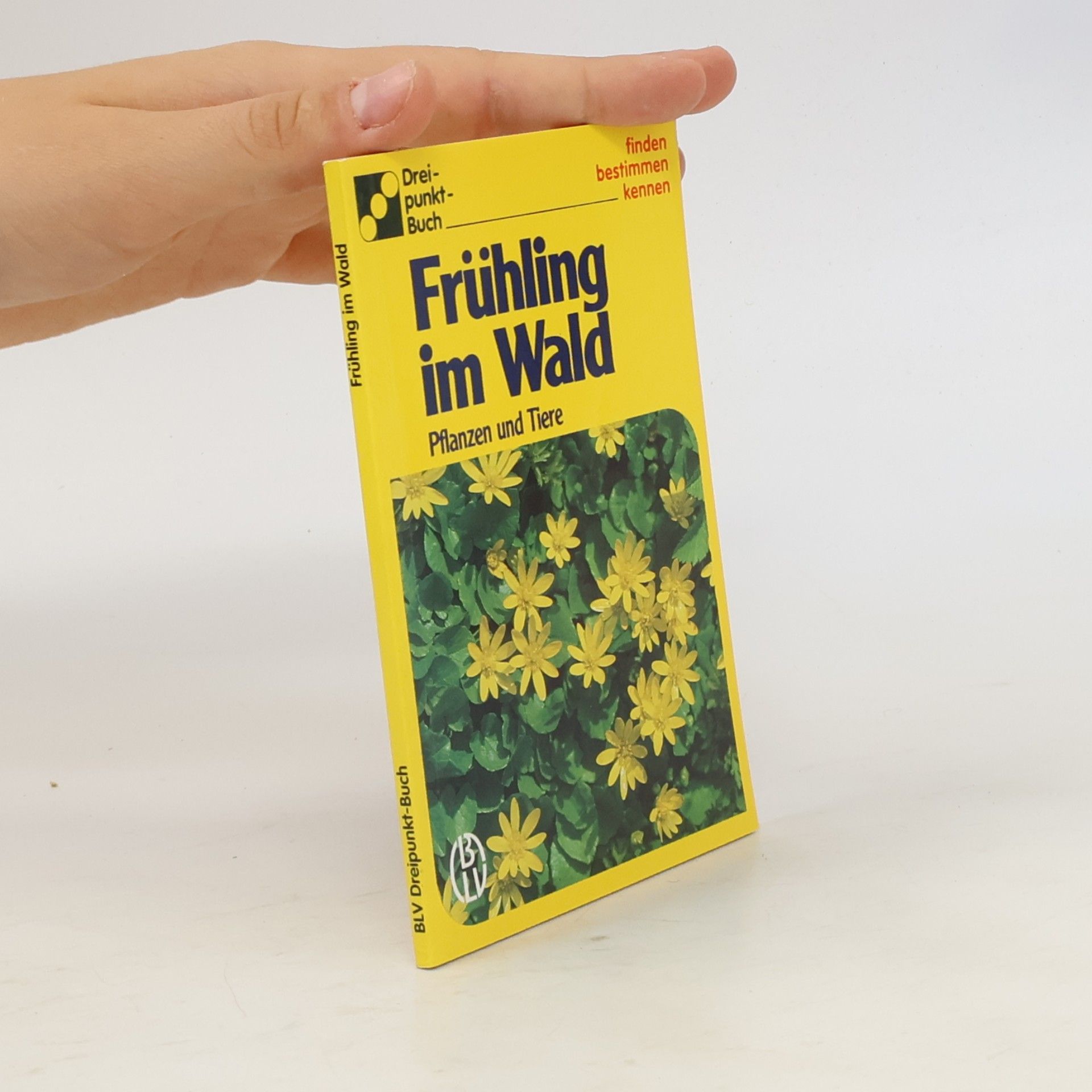Dorothee Eisenreich Frühling im Wald