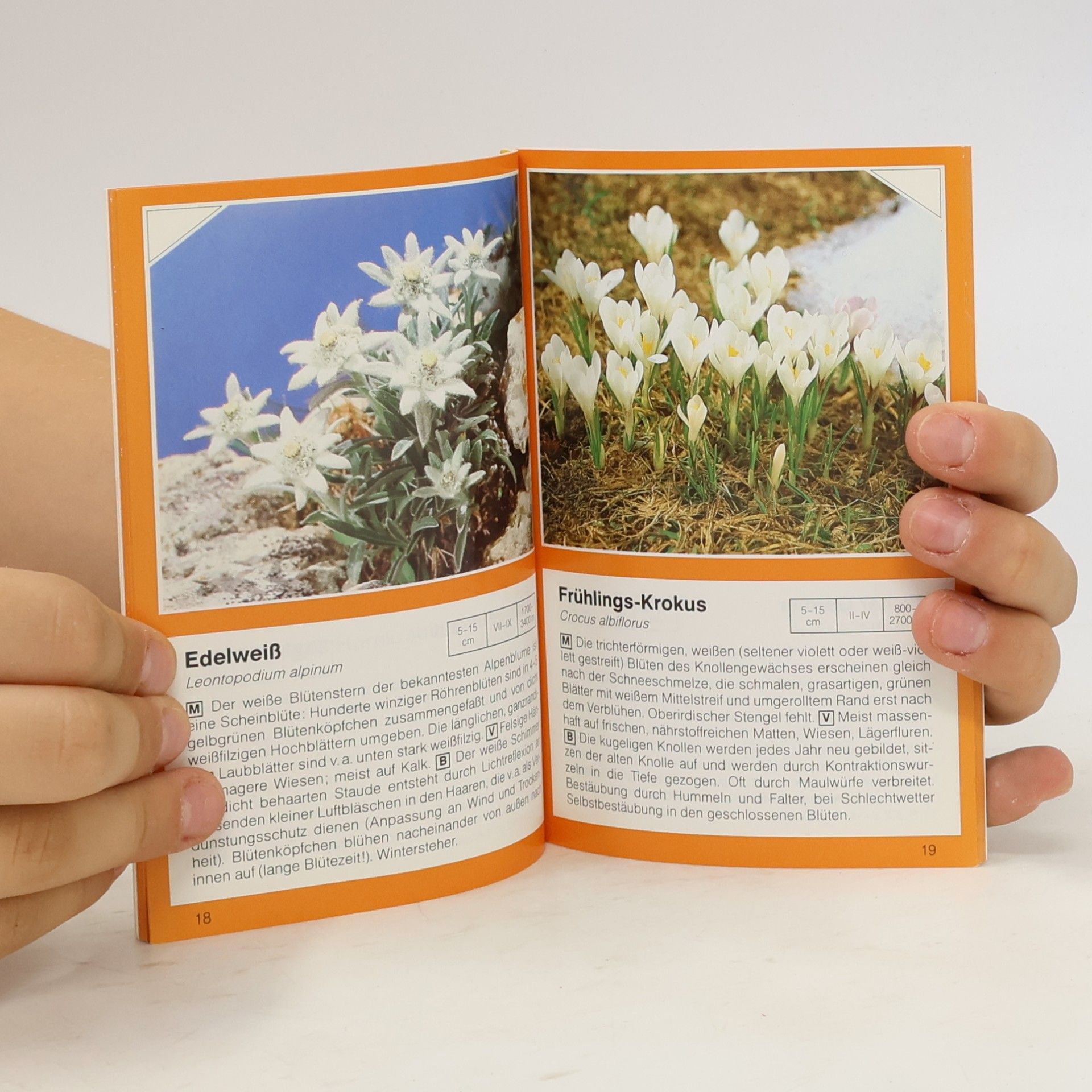 Autorenkollektiv Alpenblumen