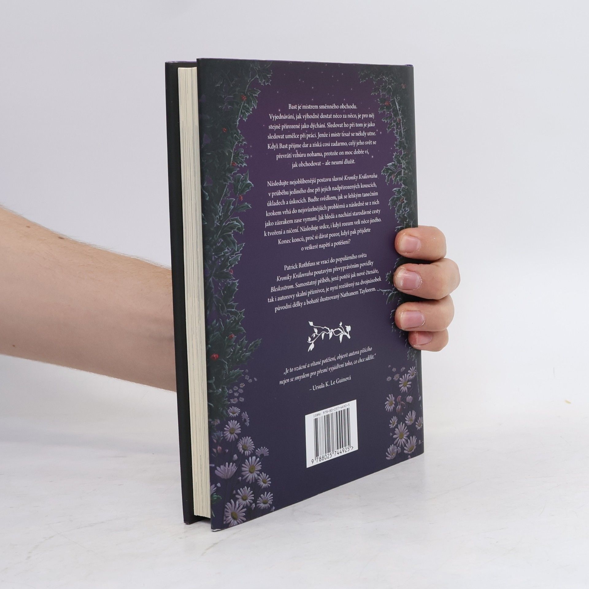 Patrick Rothfuss Tenká hranice touhy