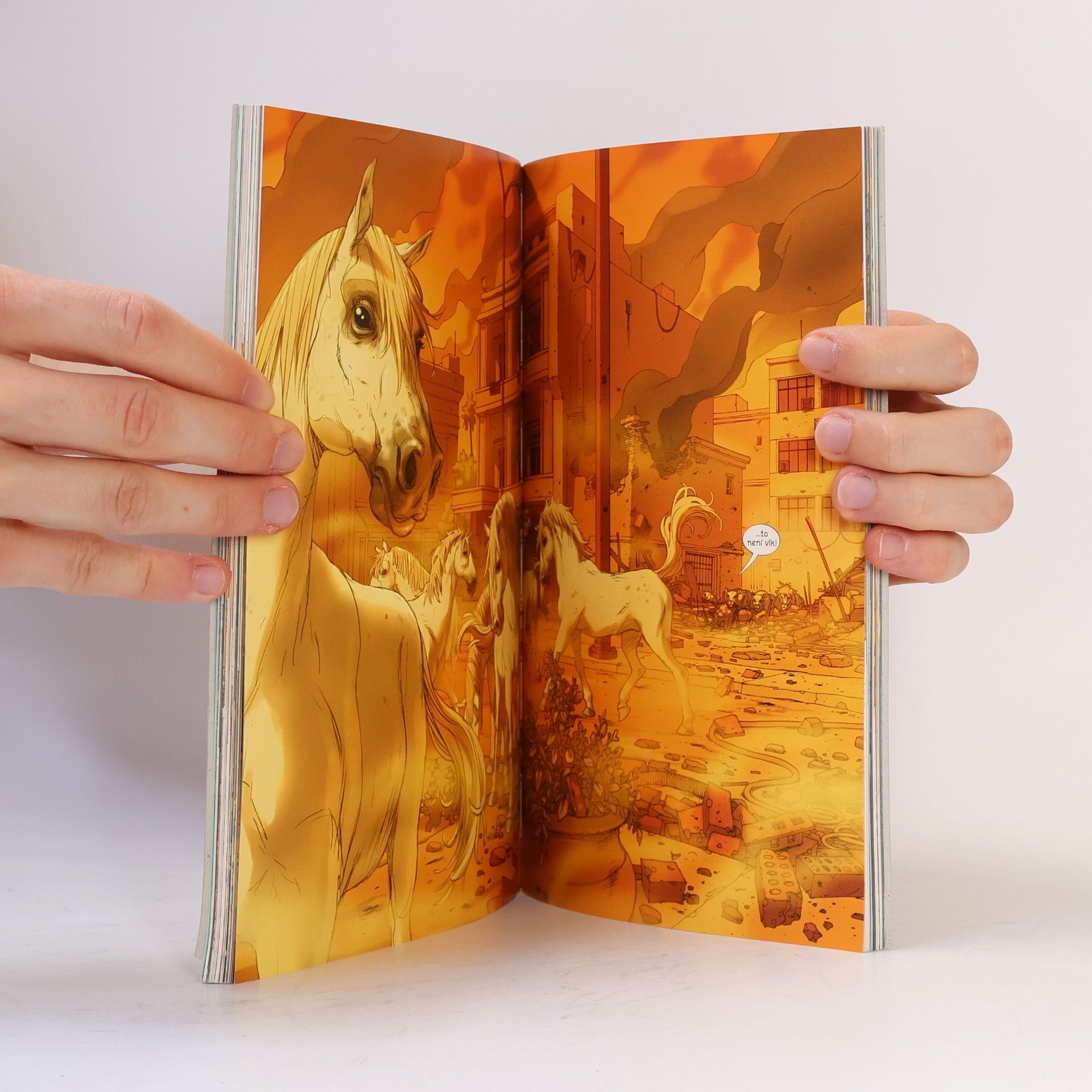 Brian K. Vaughan Smečka z Bagdádu