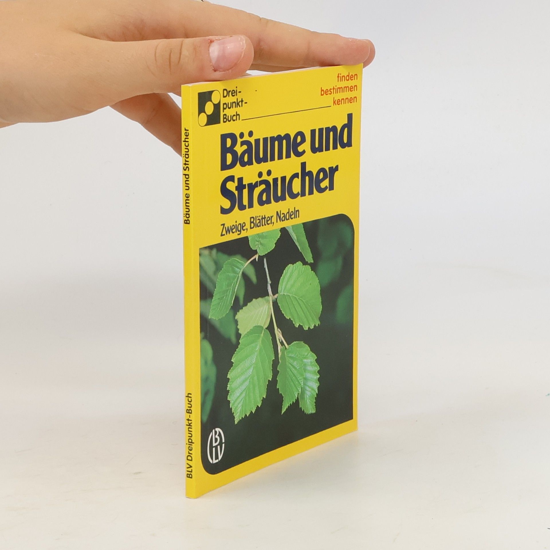 Autorenkollektiv Bäume und Sträucher