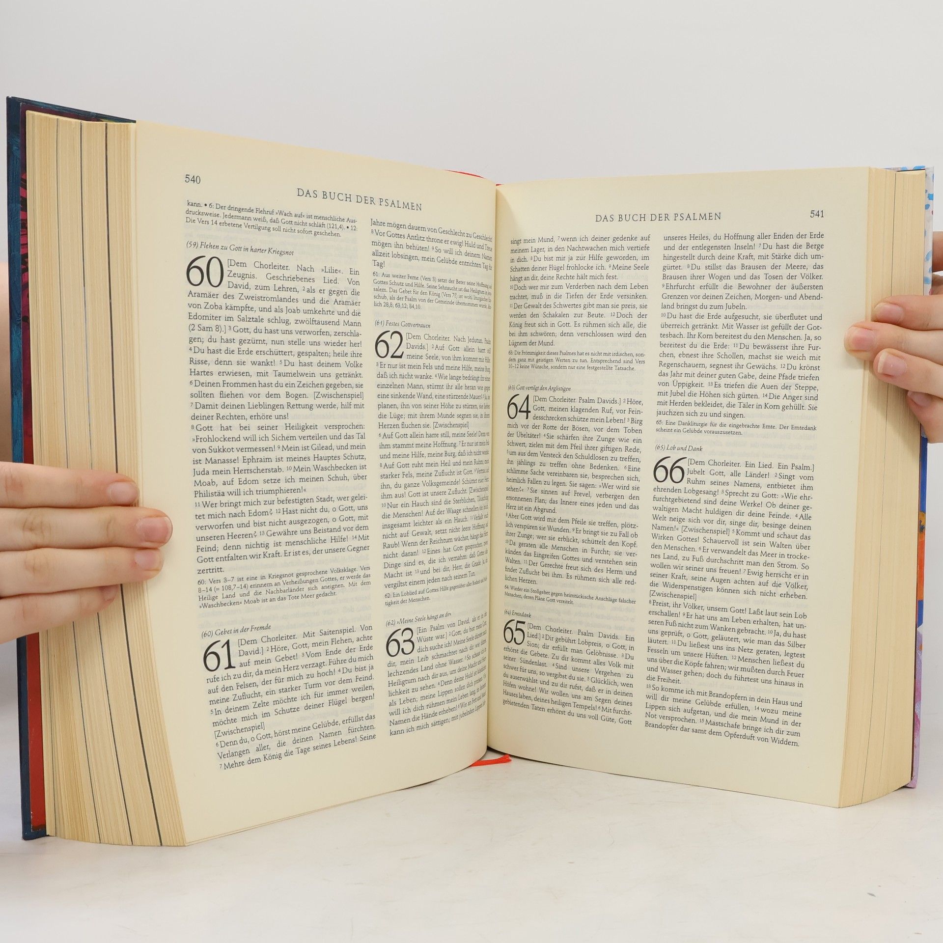 Vinzenz Hamp Die Bibel
