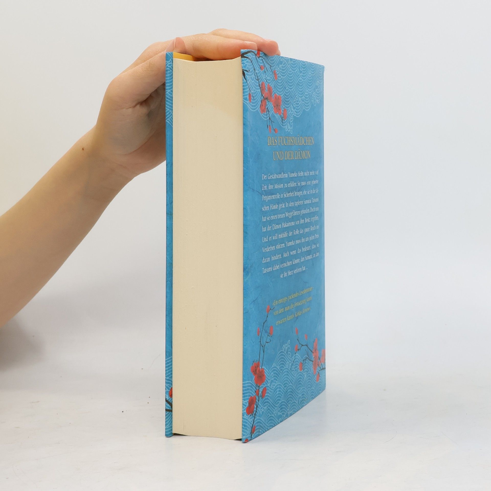 Julie Kagawa Im Schatten des Schwertes